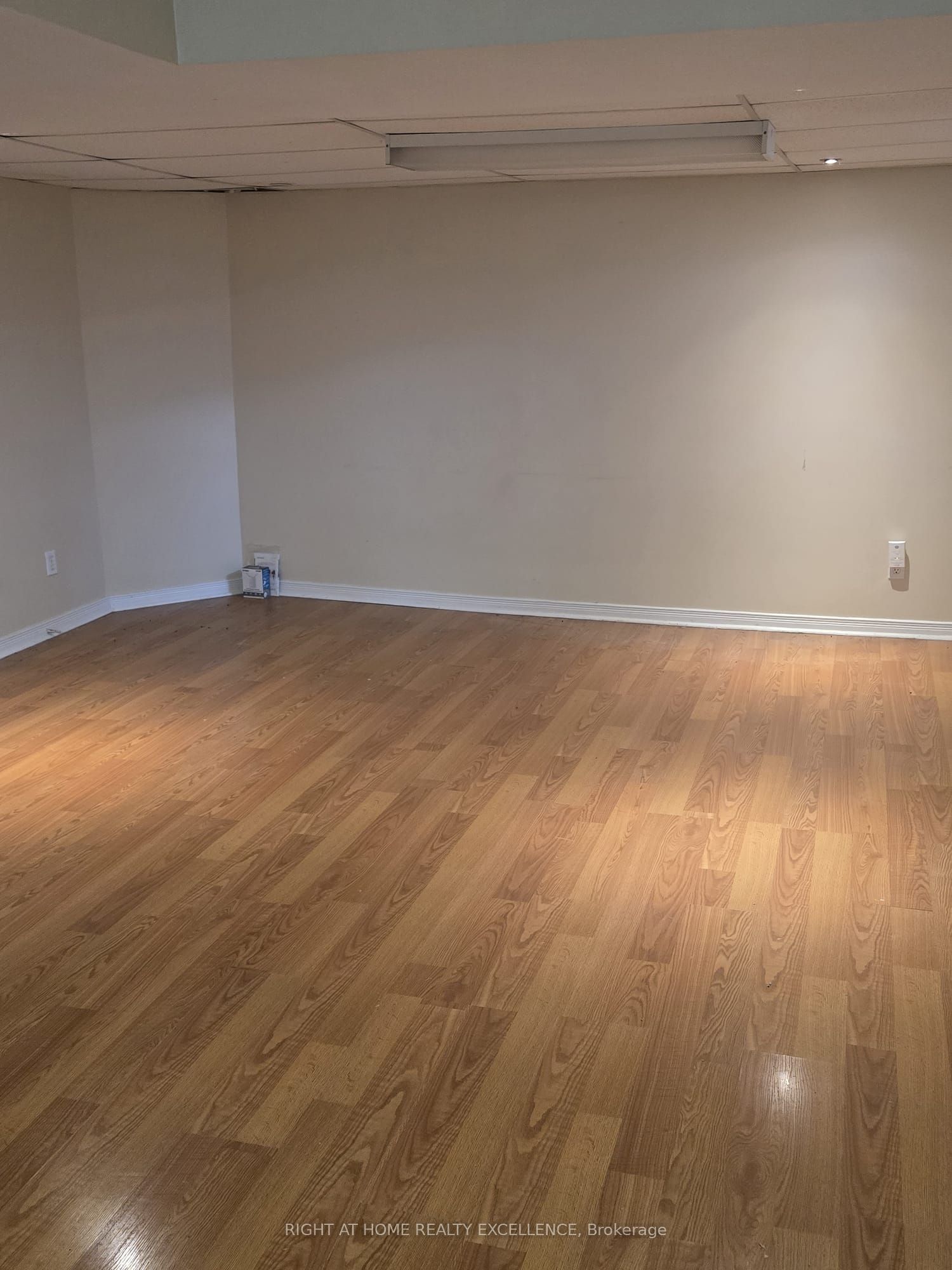 11 Charlton Avenue Basement Property Photo 2