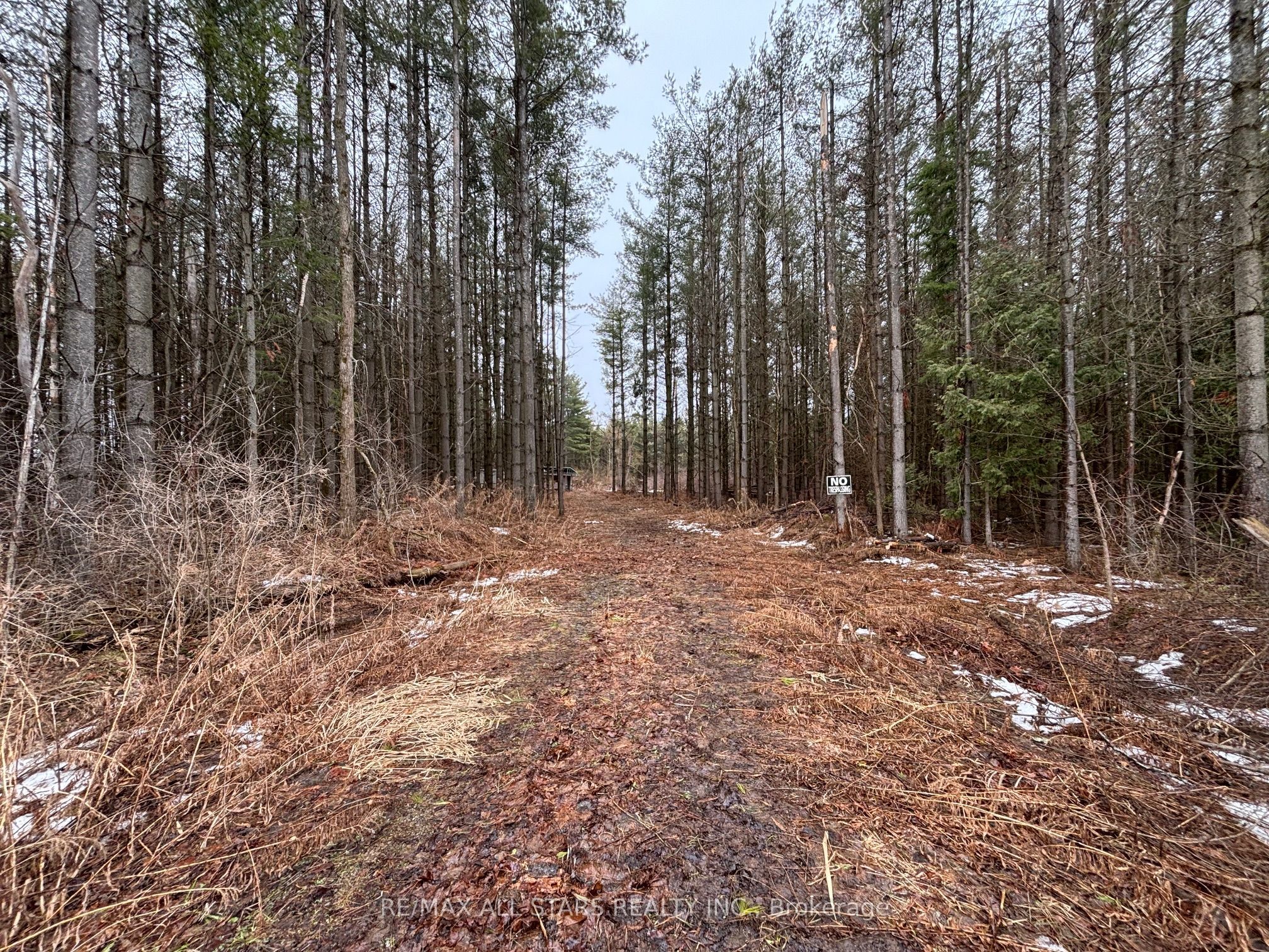 B1780 Thorah Concession 3 Road Property Photo 4