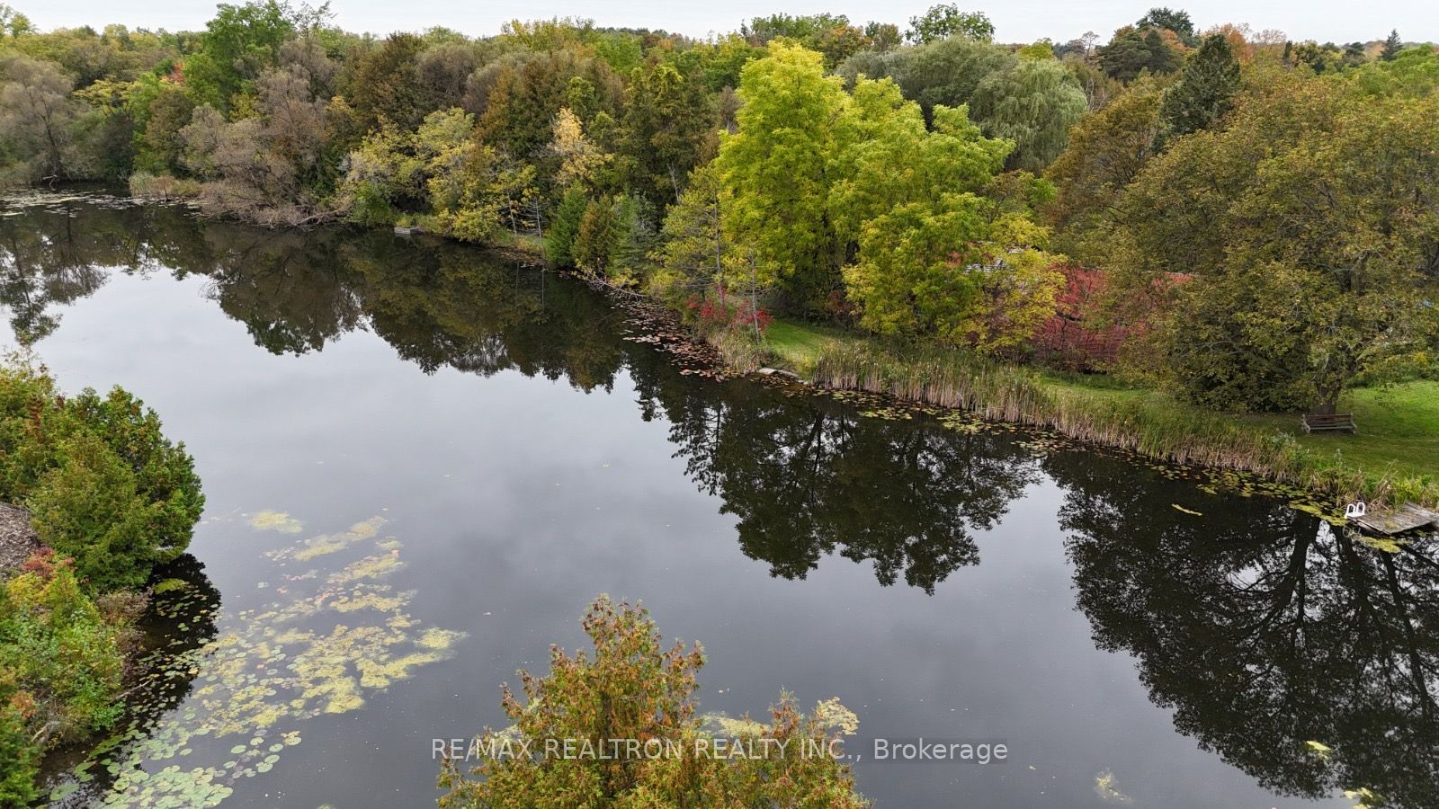3791 Vivian Road Property Photo 6