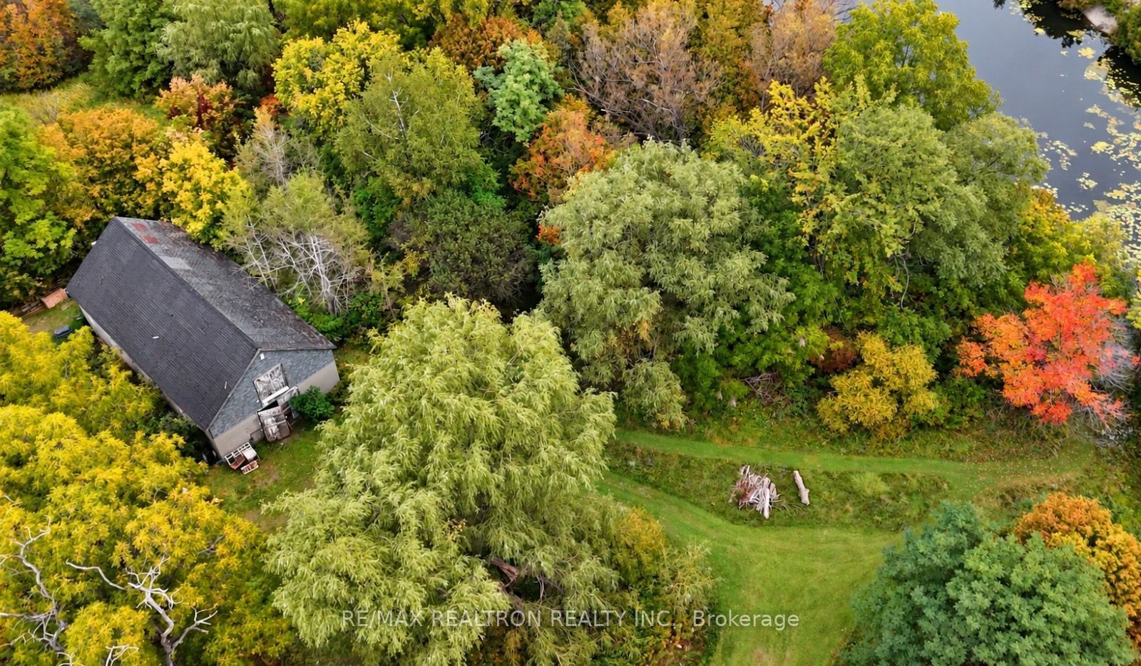 3791 Vivian Road Property Photo 10