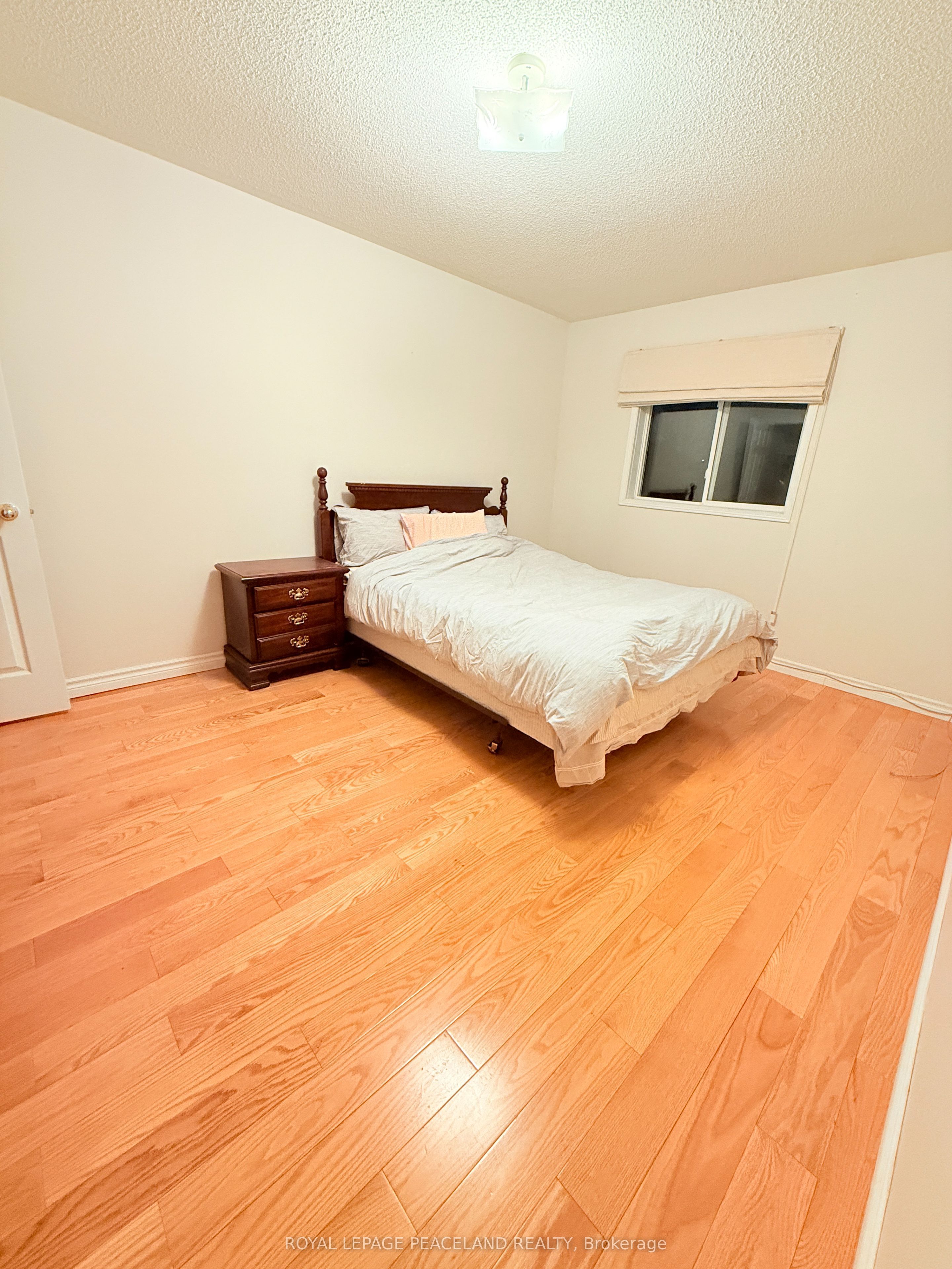 4 Attilio Street Property Photo 6
