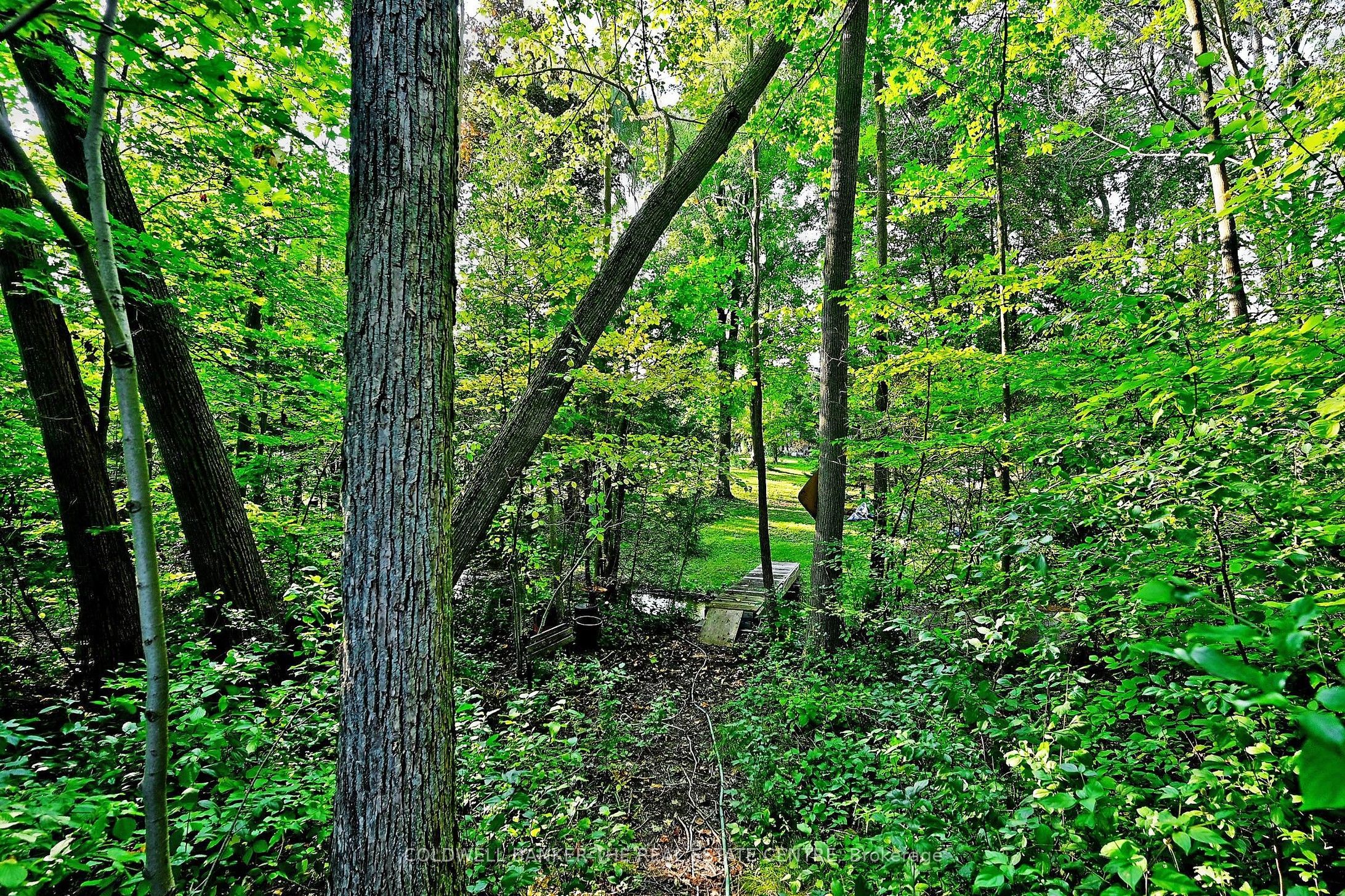 20805 Brock Road Property Photo 34