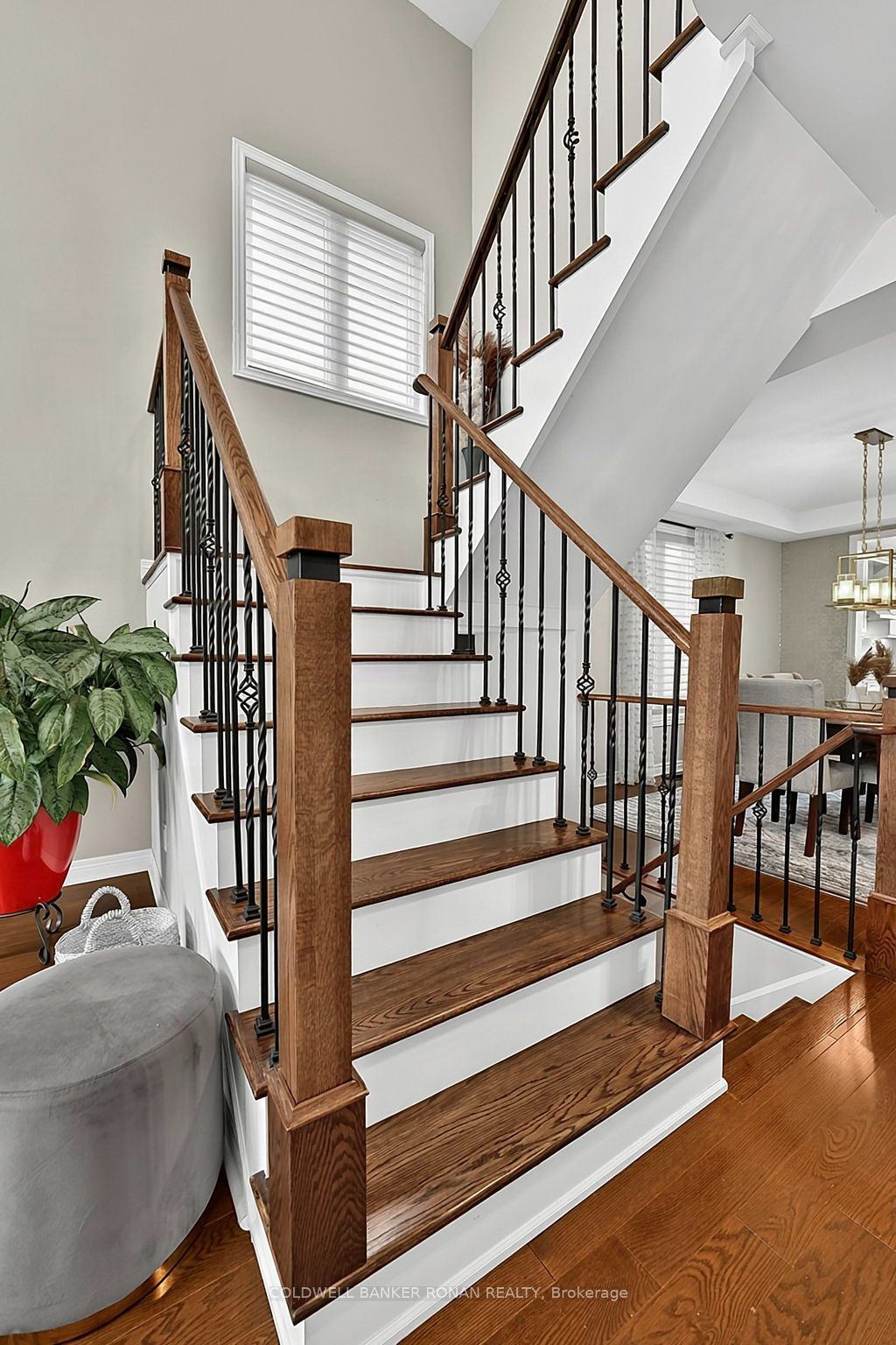 37 Mcgovern Street Property Photo 17
