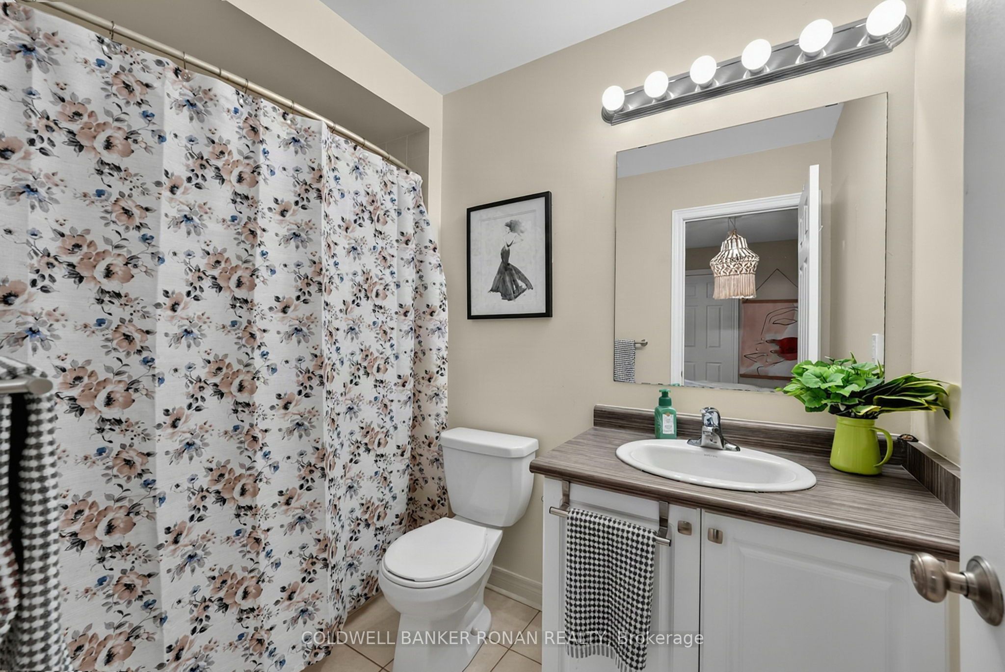 37 Mcgovern Street Property Photo 24