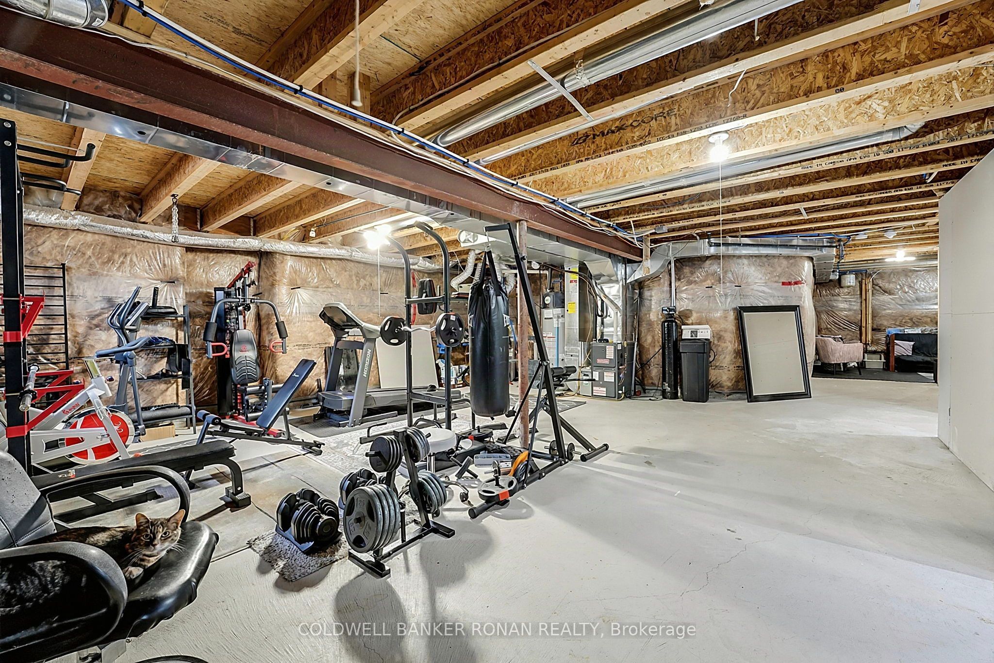 37 Mcgovern Street Property Photo 33