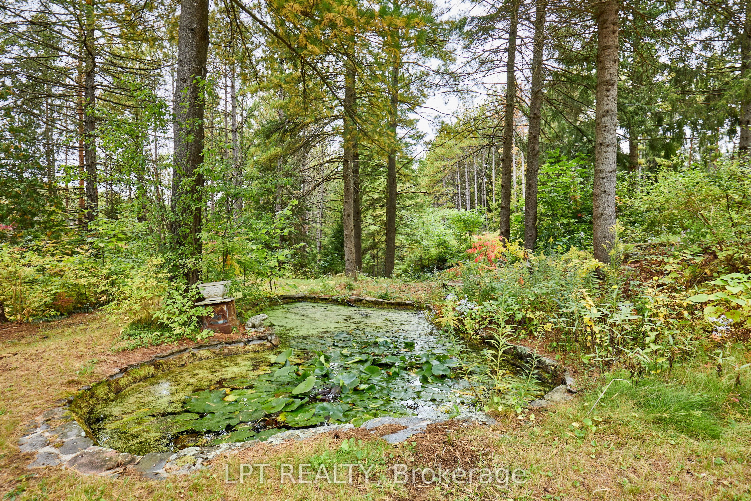 298 Wees Road Property Photo 47