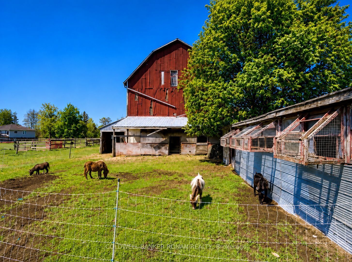 6703 Pine Plains Road E Property Photo 4