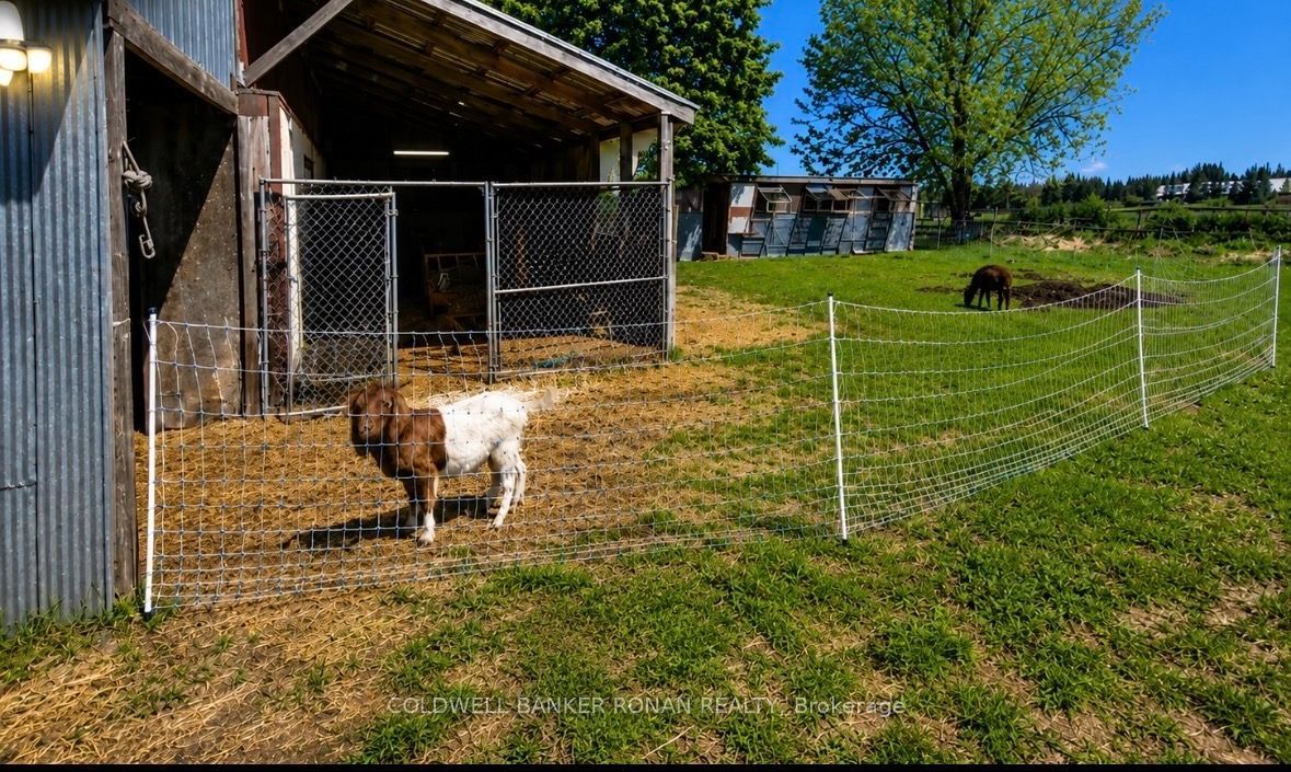 6703 Pine Plains Road E Property Photo 9