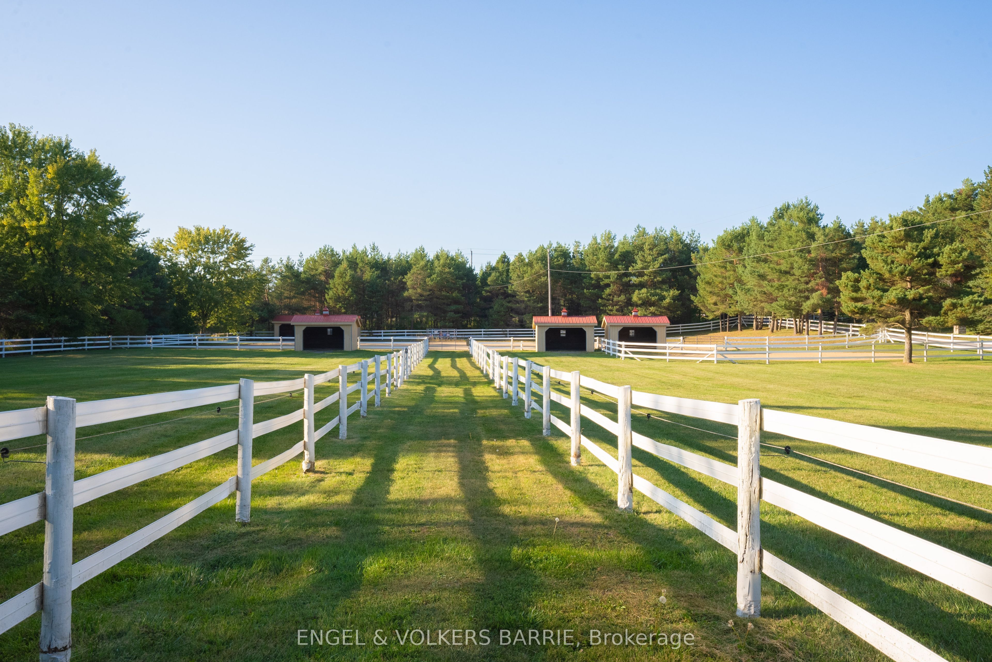 419 Goodwood Road Property Photo 28