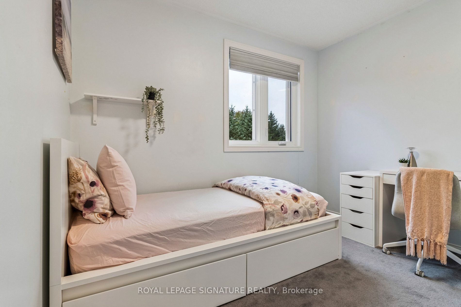 19 Ballymore Drive Property Photo 26