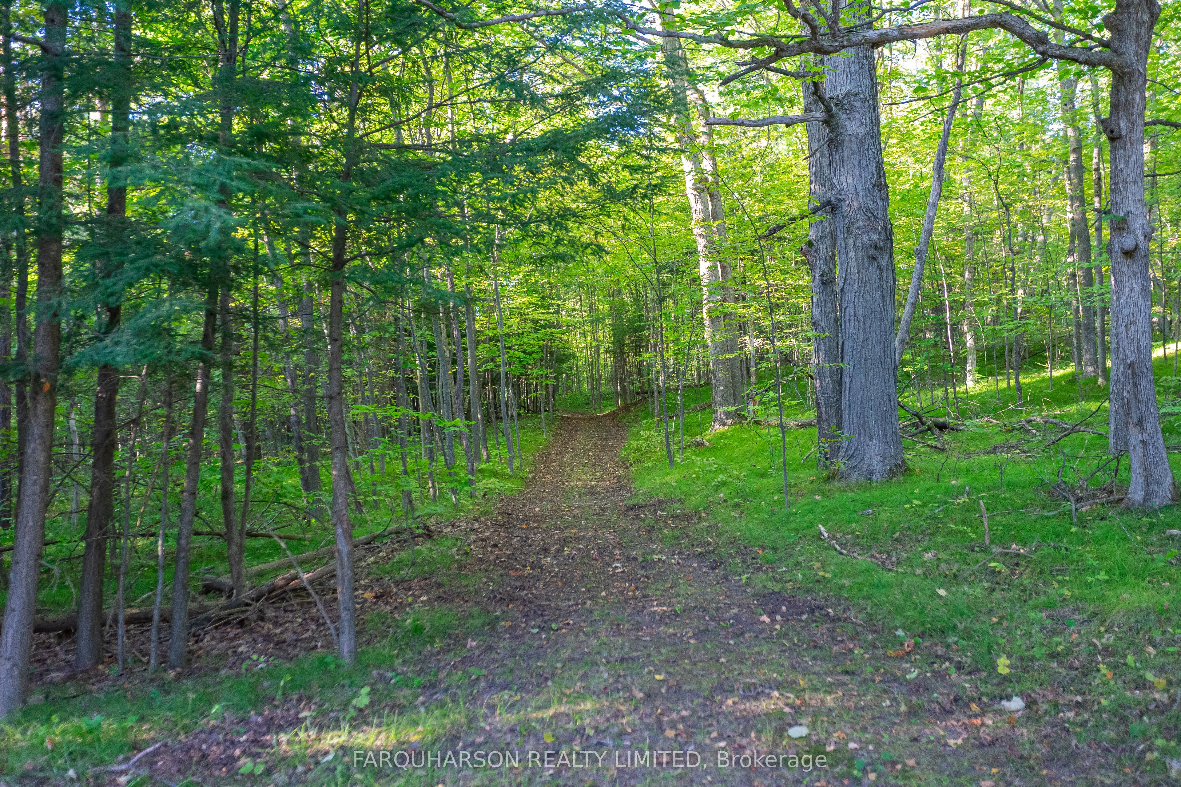 5550 7th Concession Property Photo 33