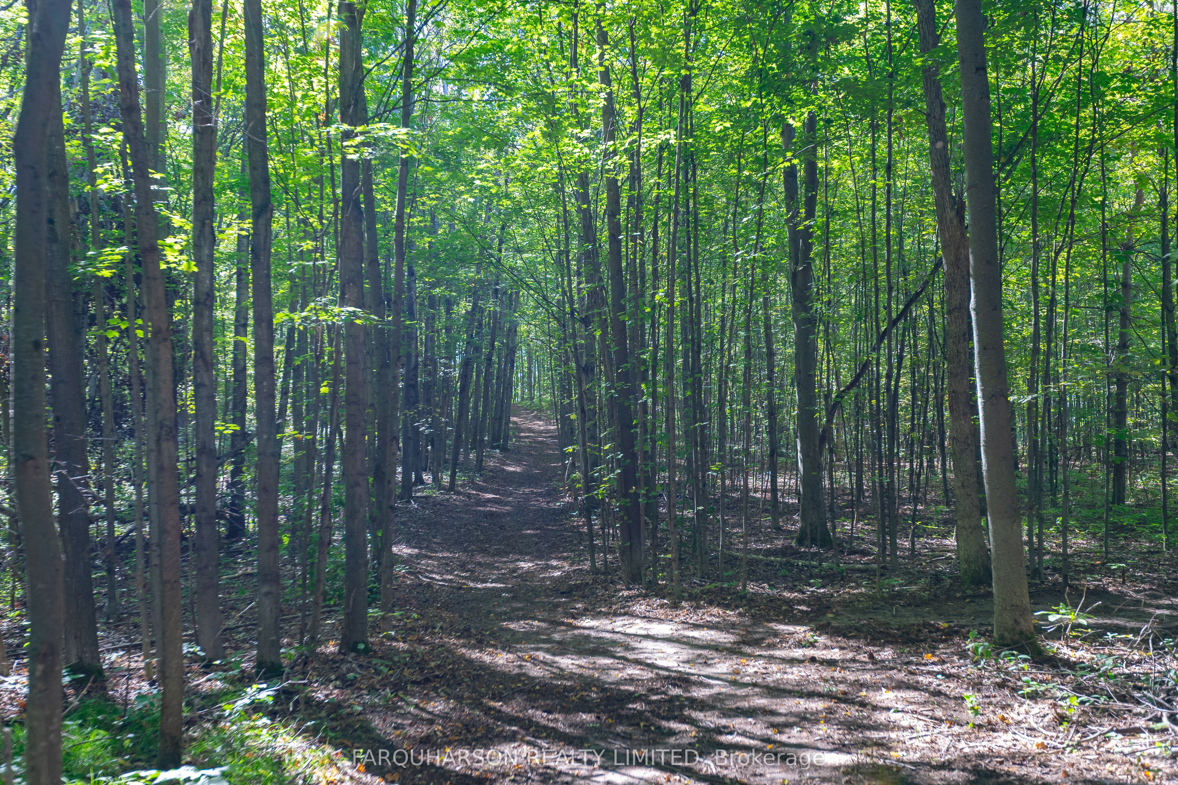 5550 7th Concession Property Photo 35