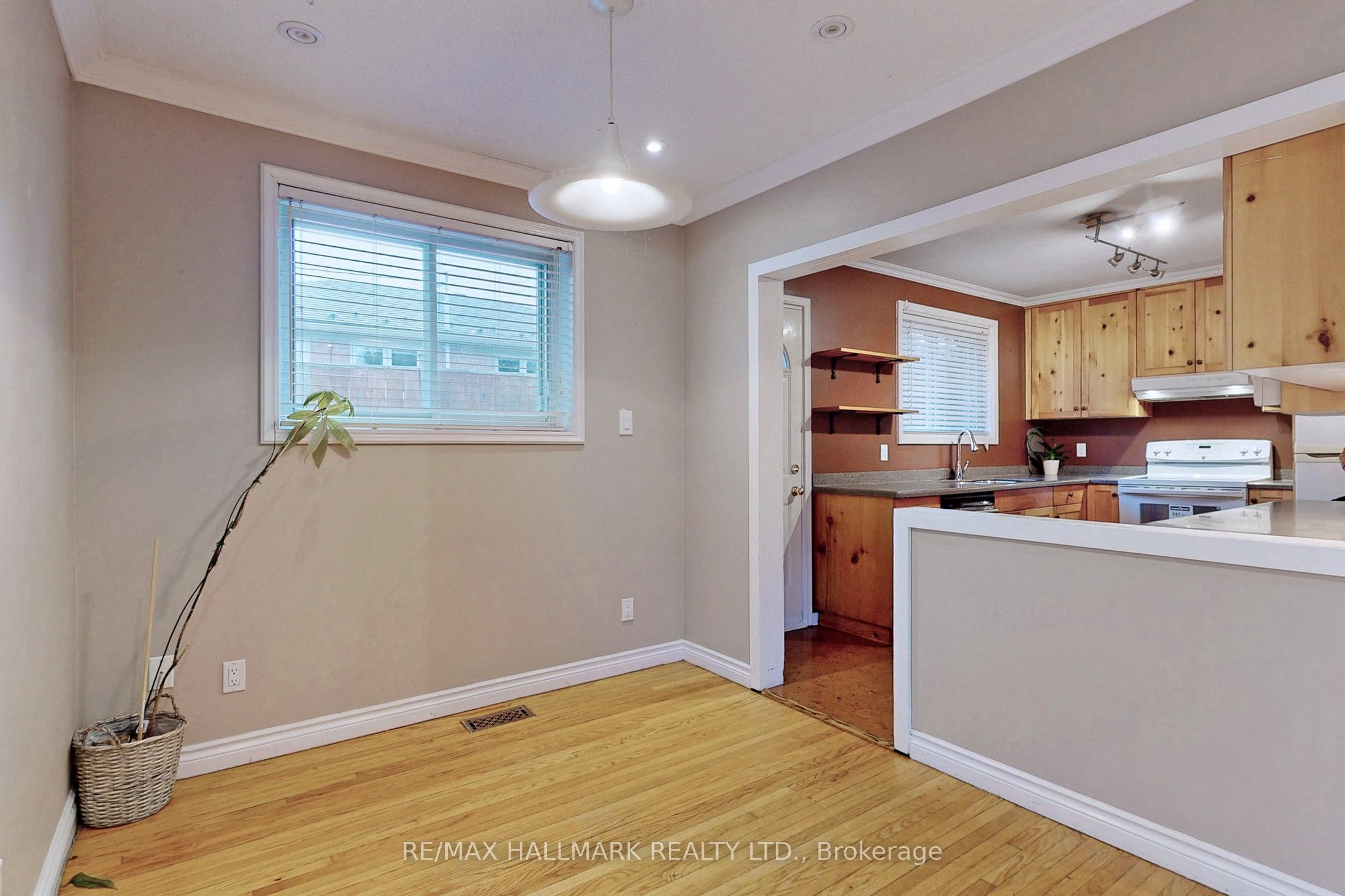 16 Knowles Crescent Property Photo 5