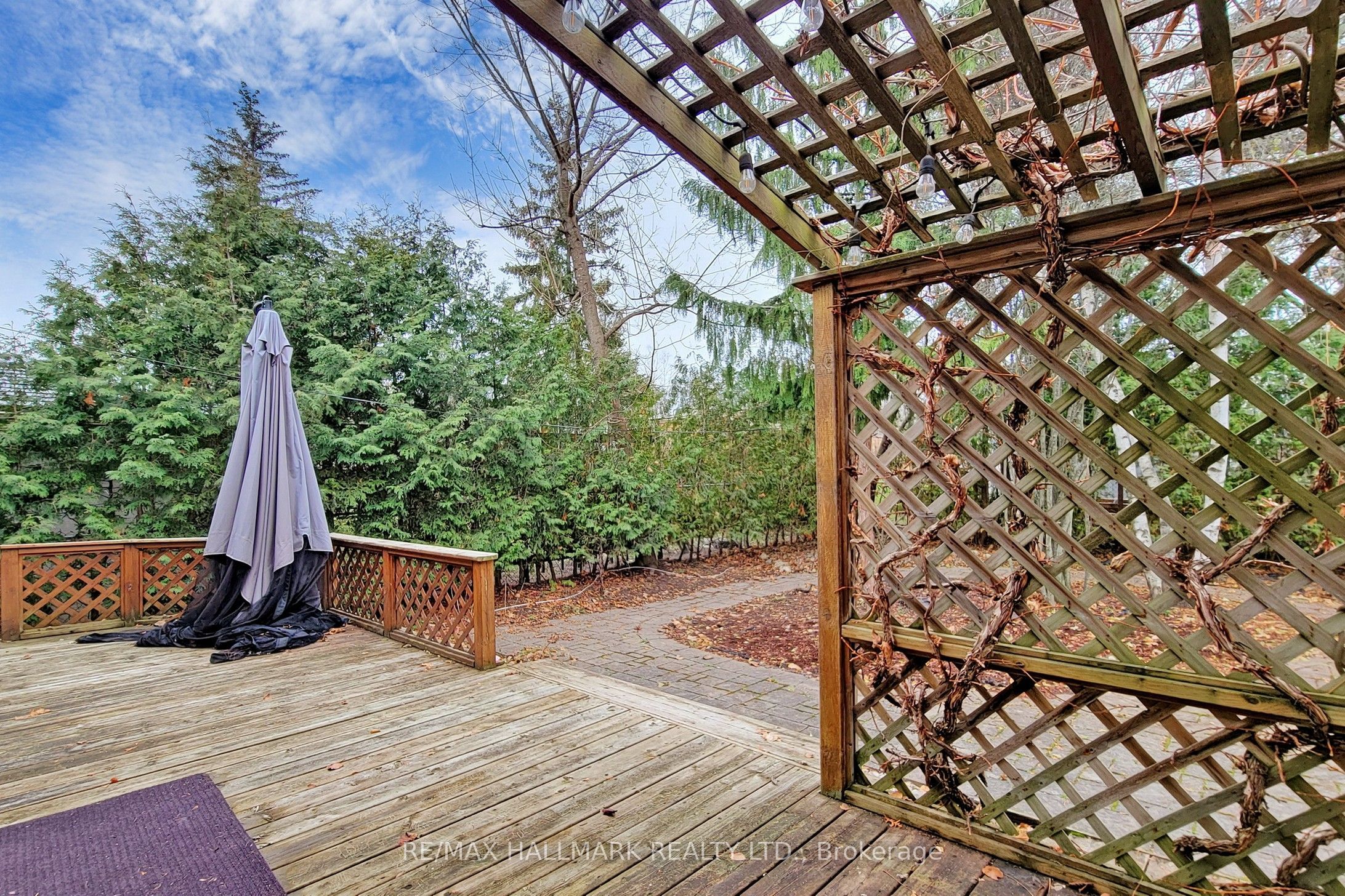 16 Knowles Crescent Property Photo 21