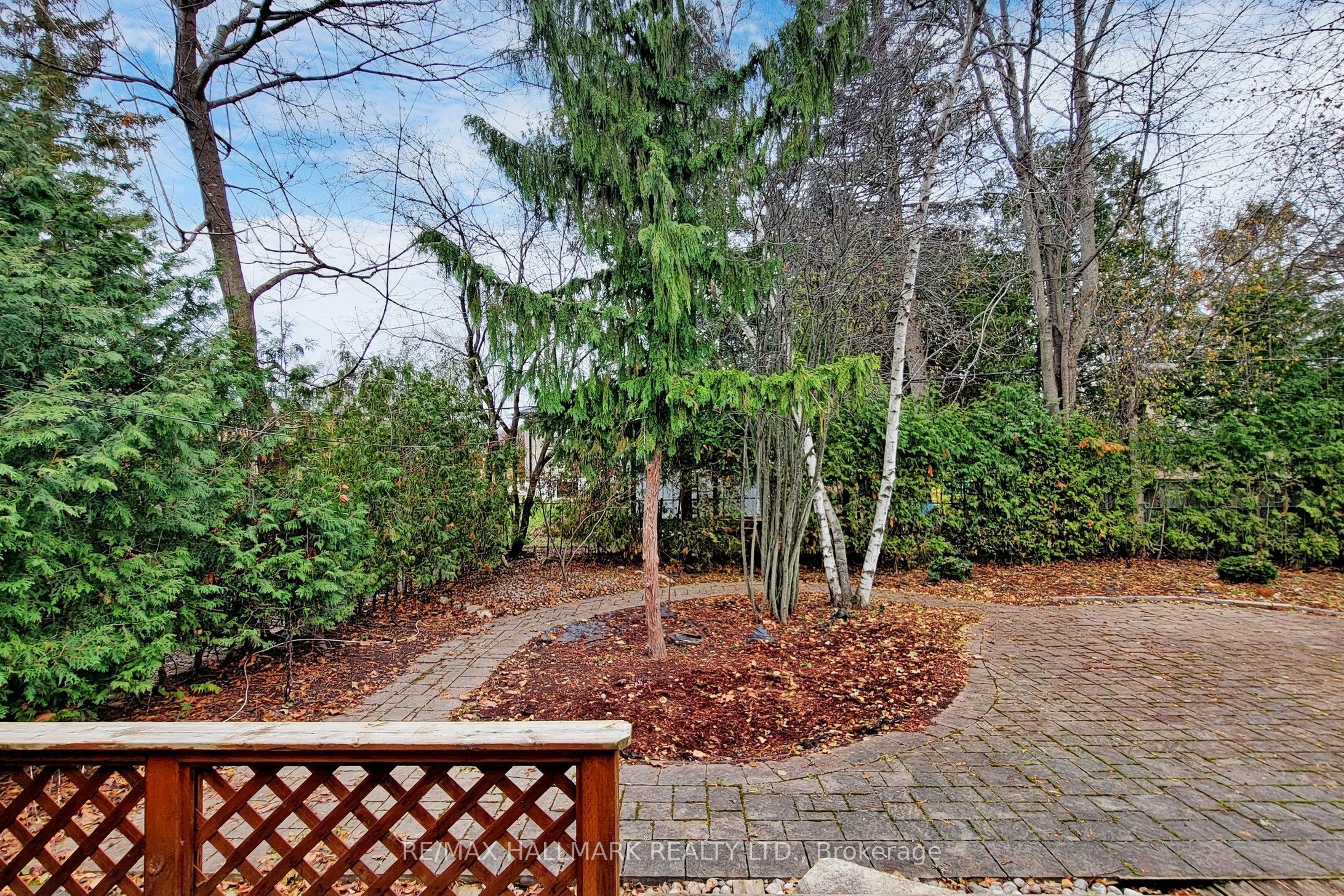 16 Knowles Crescent Property Photo 22