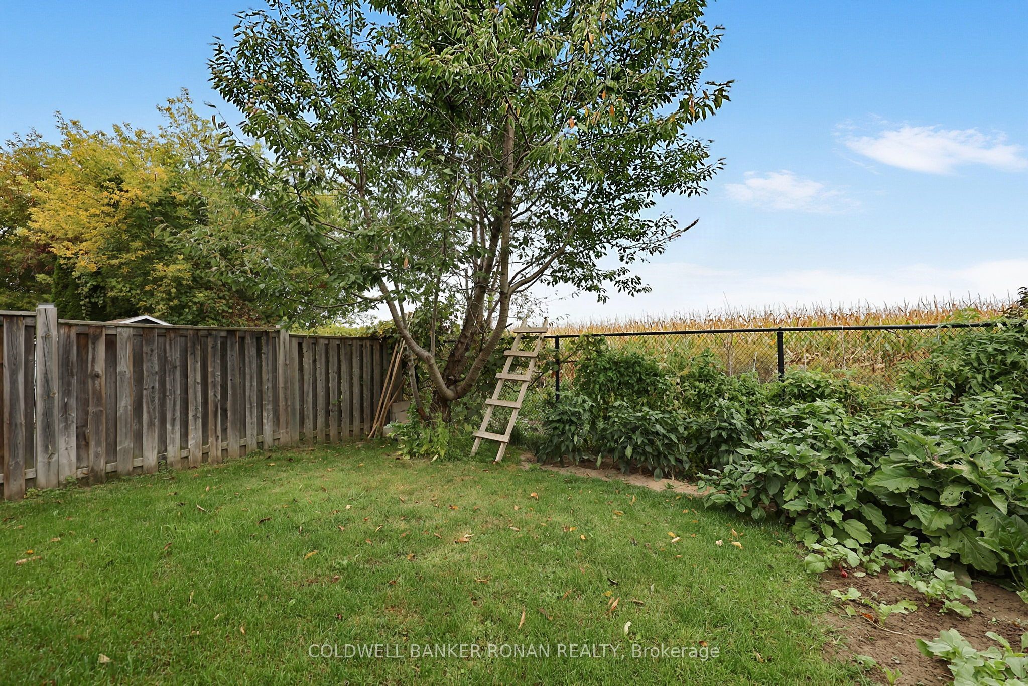 76 John W Taylor Avenue Property Photo 34