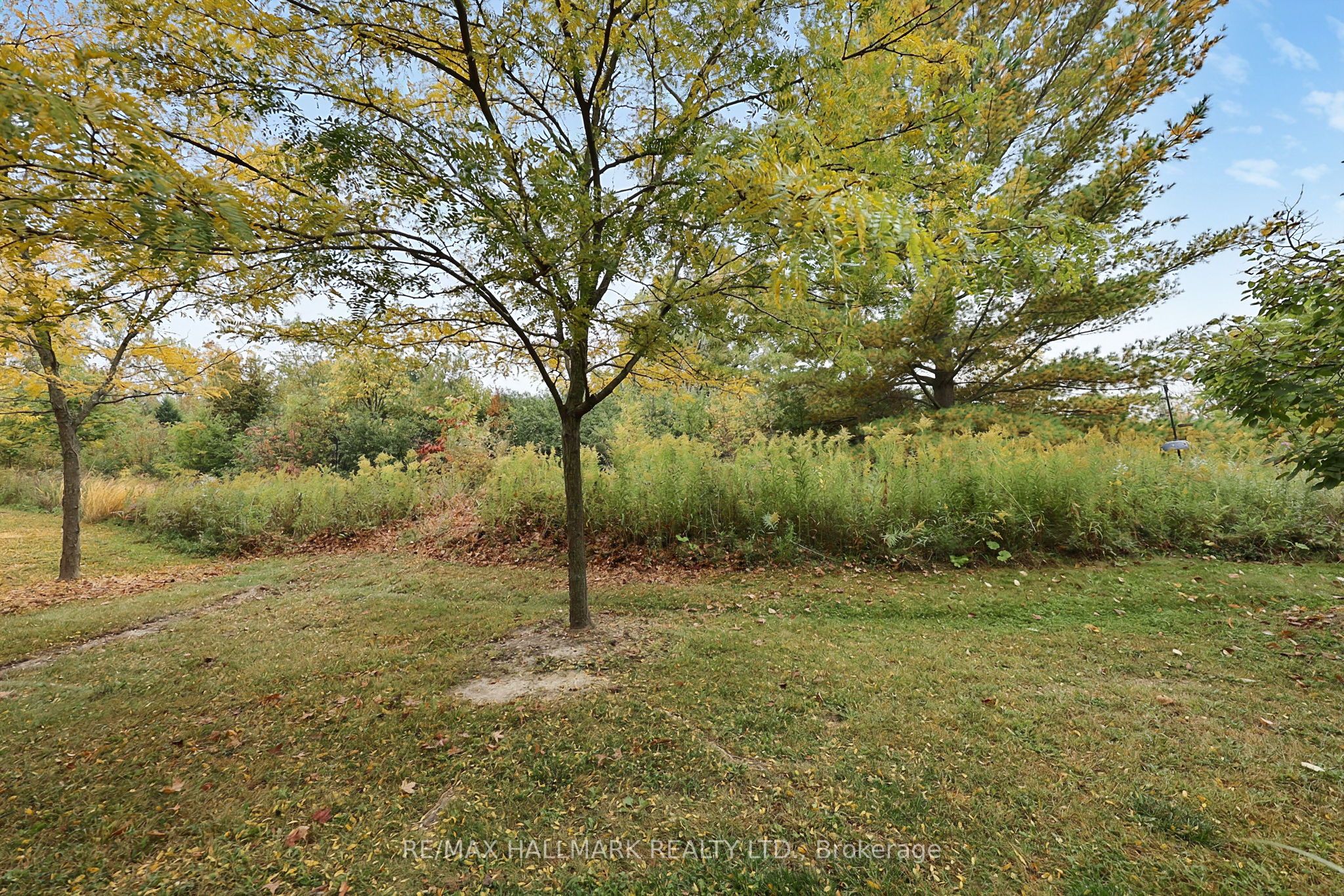 710 Wendy Culbert Crescent Property Photo 29