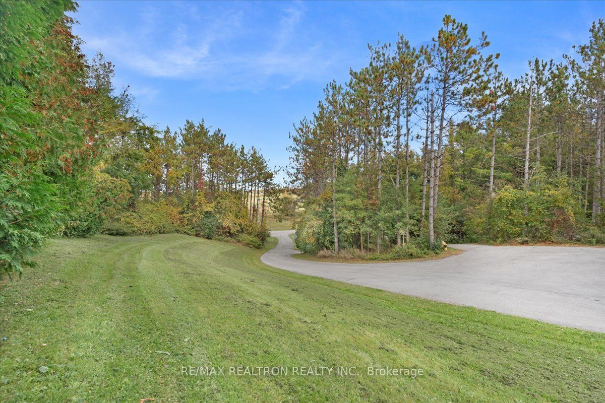 4761 9th Line Property Photo 3