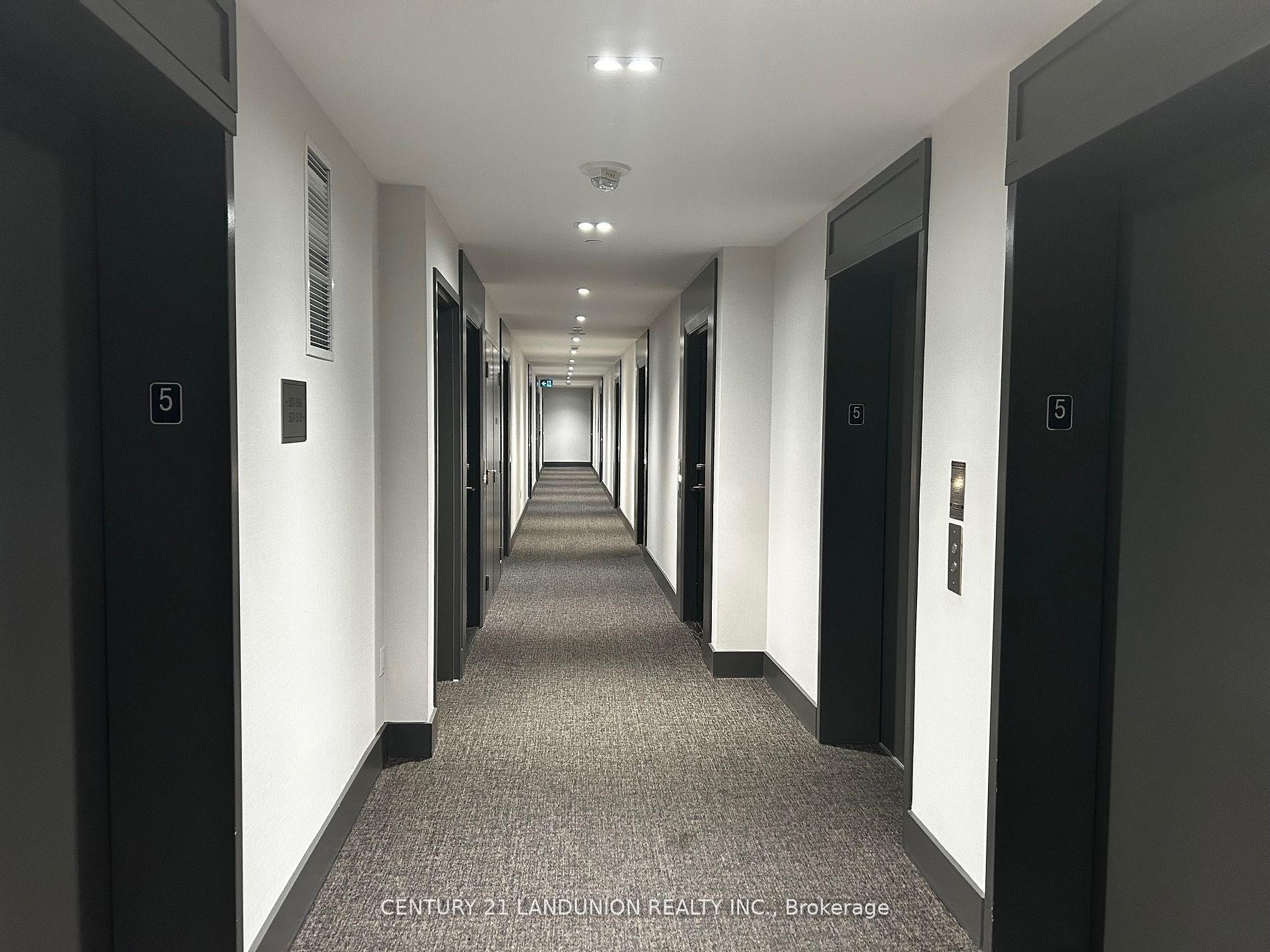 3 Rosewater Street 501w Property Photo 3