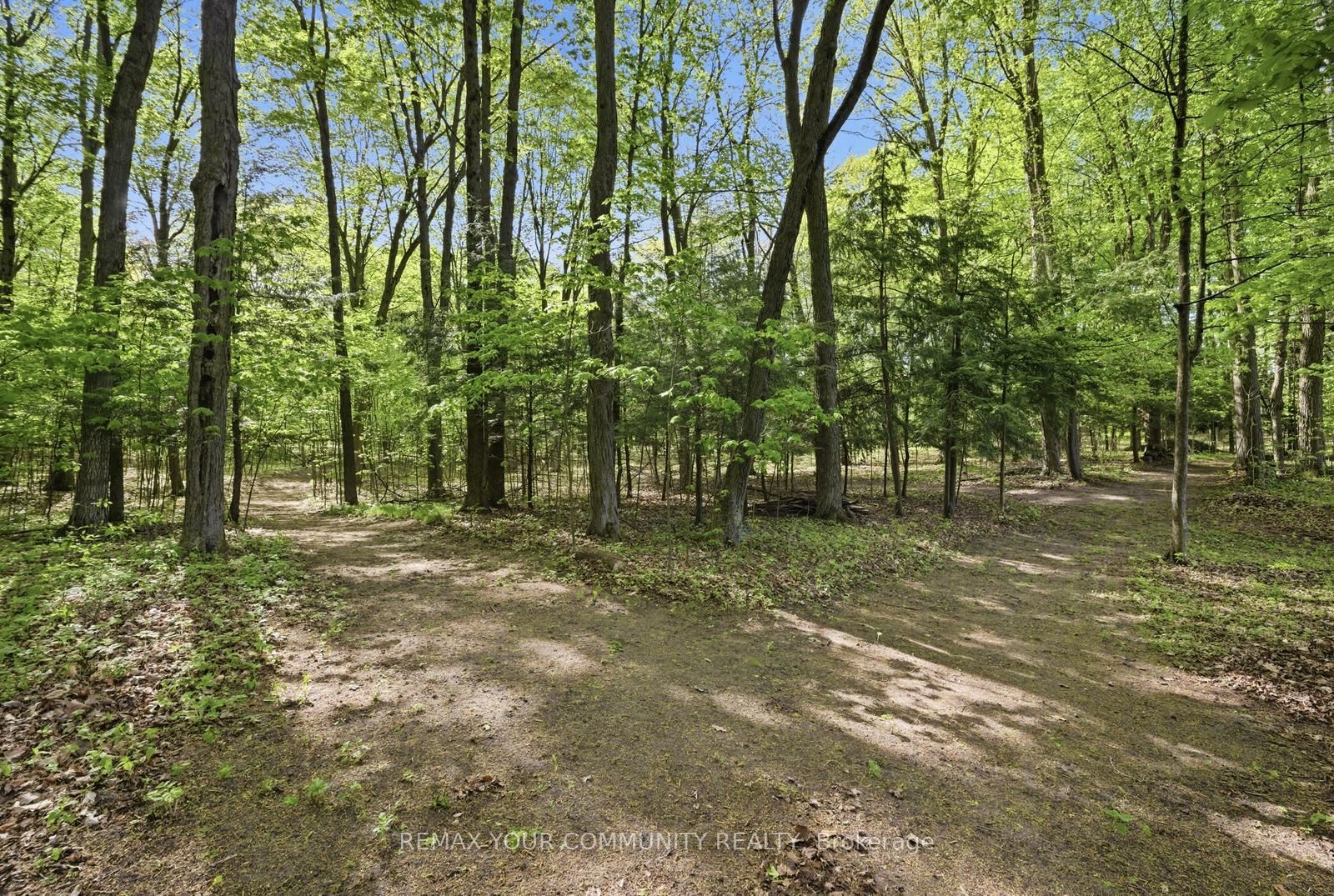 16902 Mccowan Road Property Photo 11