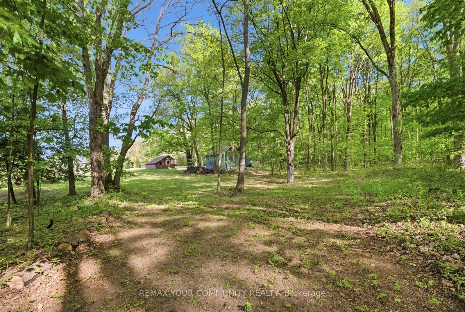 16902 Mccowan Road Property Photo 12