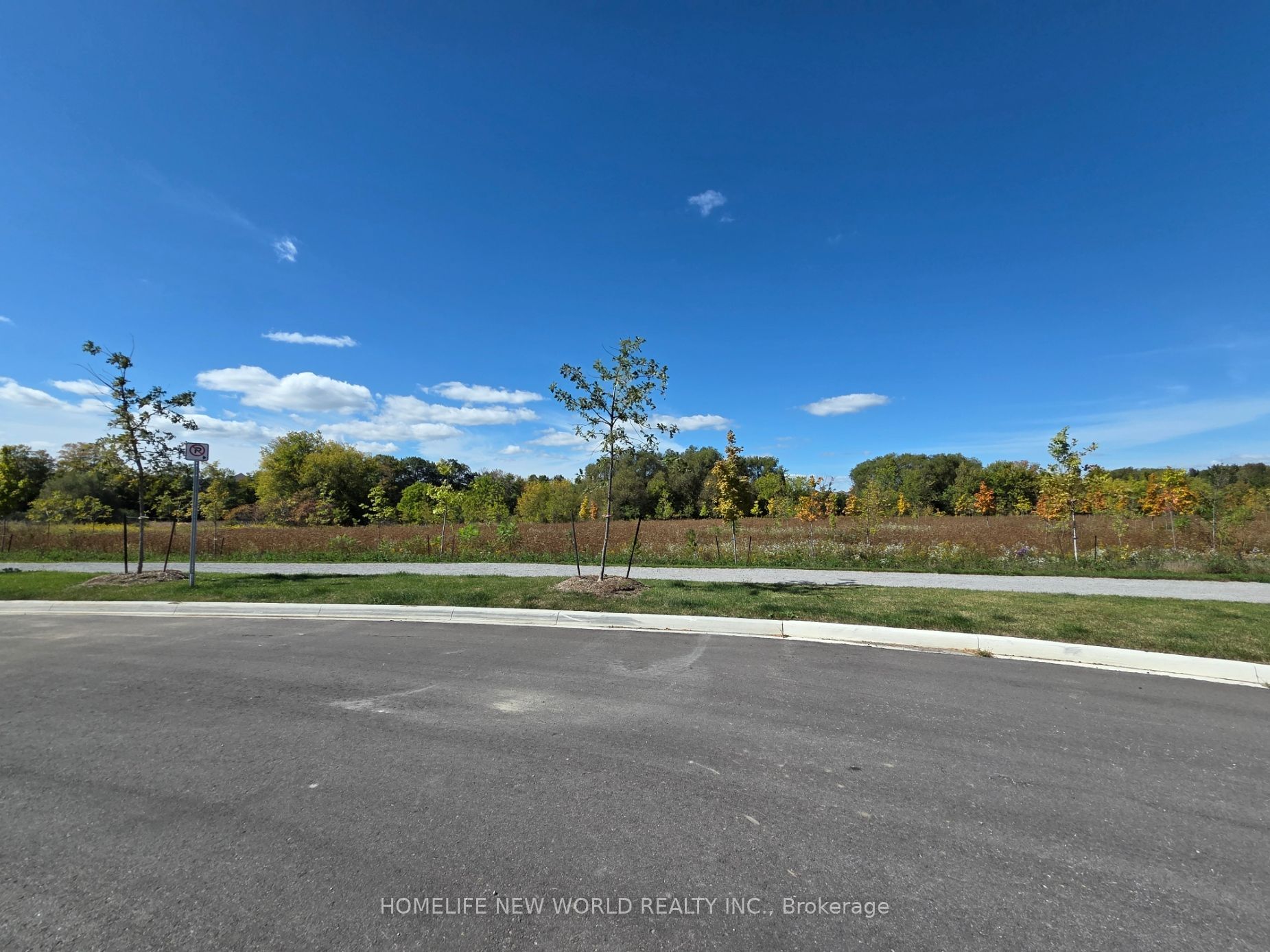 N13884180 Property Photo 16