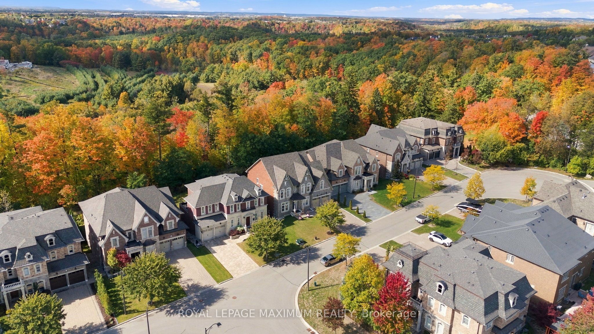 124 Annsleywood Court Property Photo 4