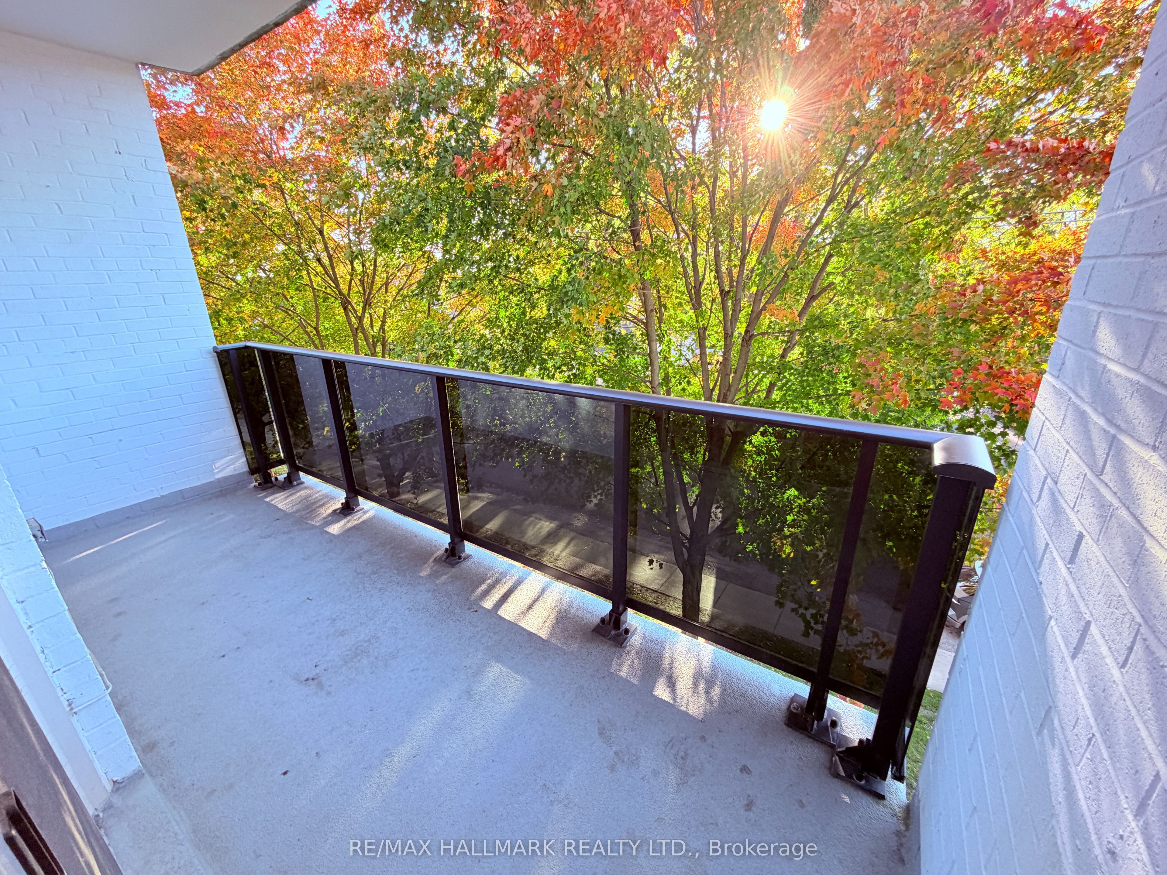 7 Albert Street 316 Property Photo 17