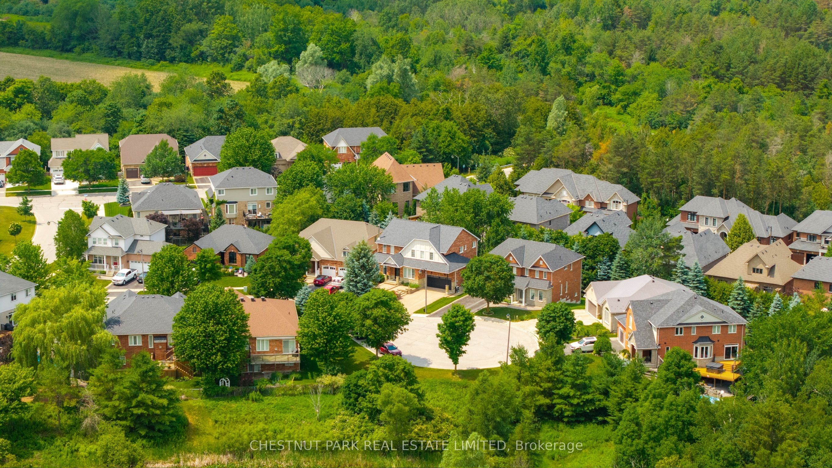 8 Cyril Richardson Court Property Photo 3