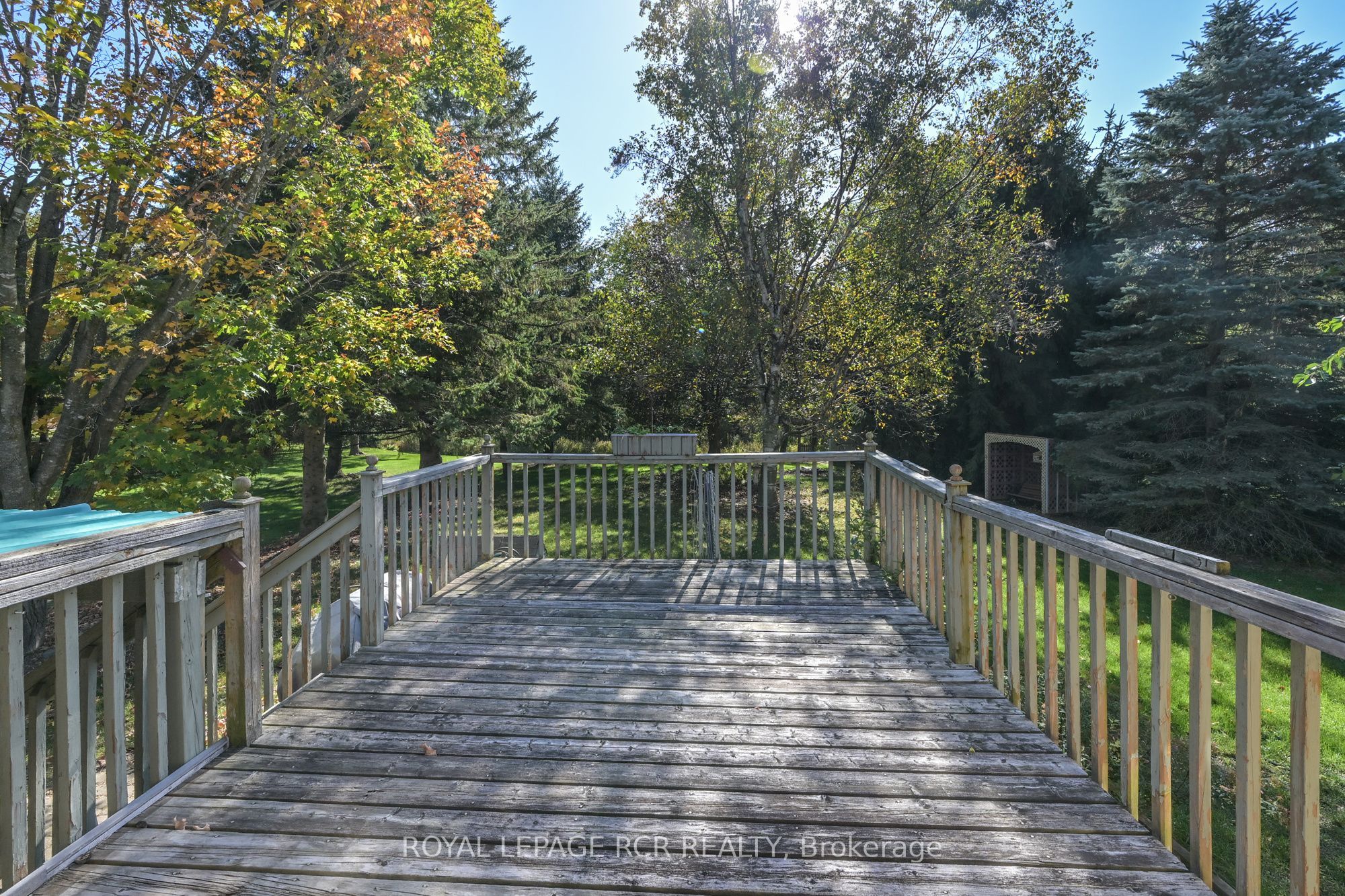 7 Moore Avenue Property Photo 29