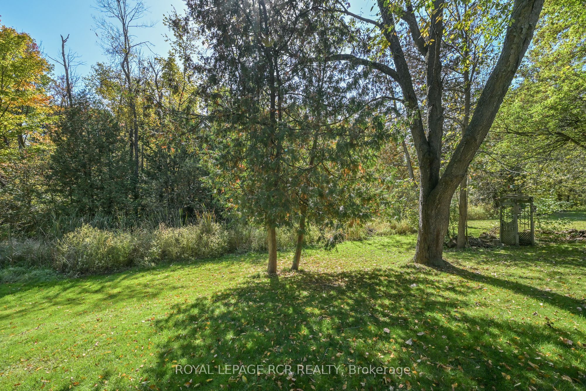 7 Moore Avenue Property Photo 32