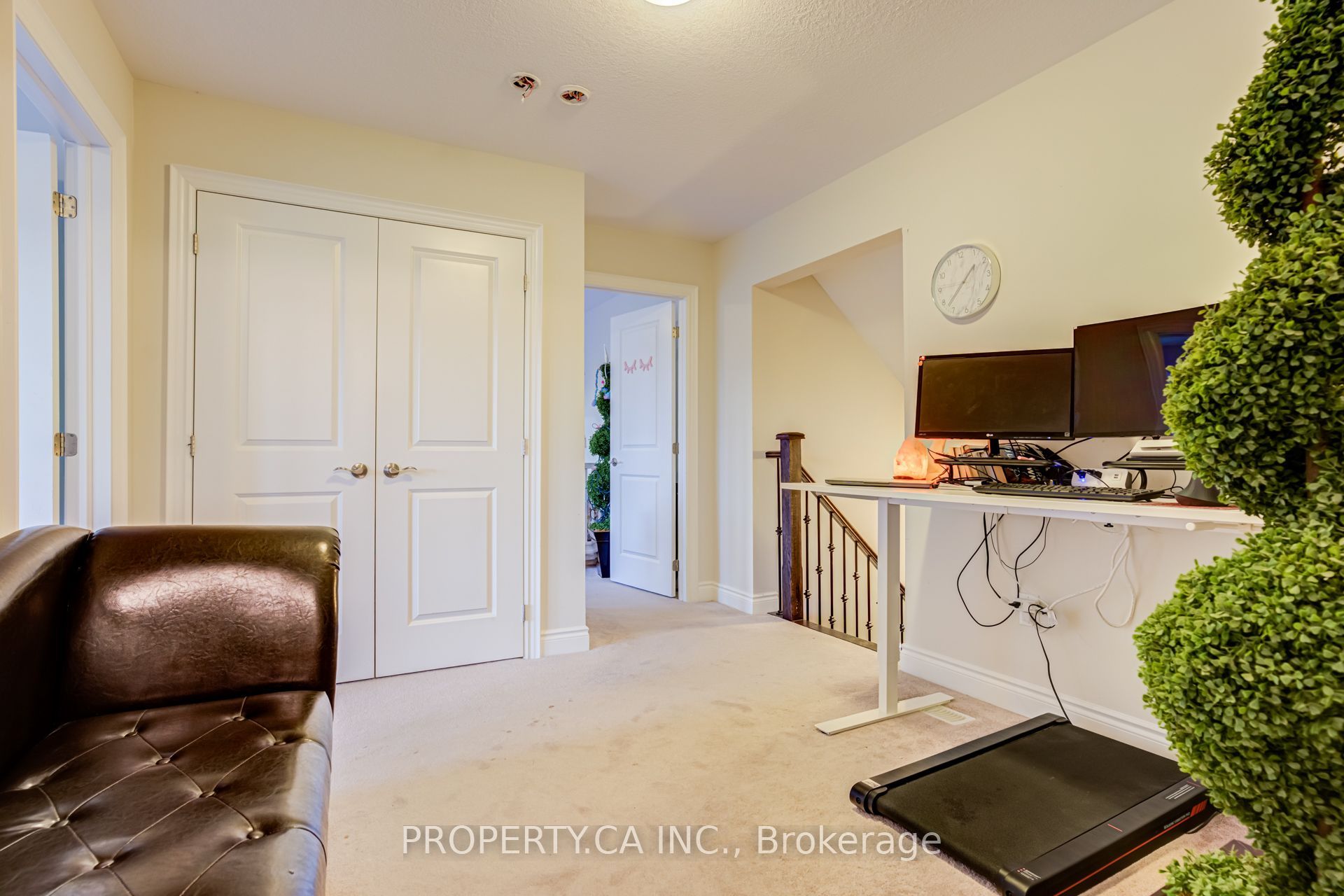 17 Jones Street Property Photo 20