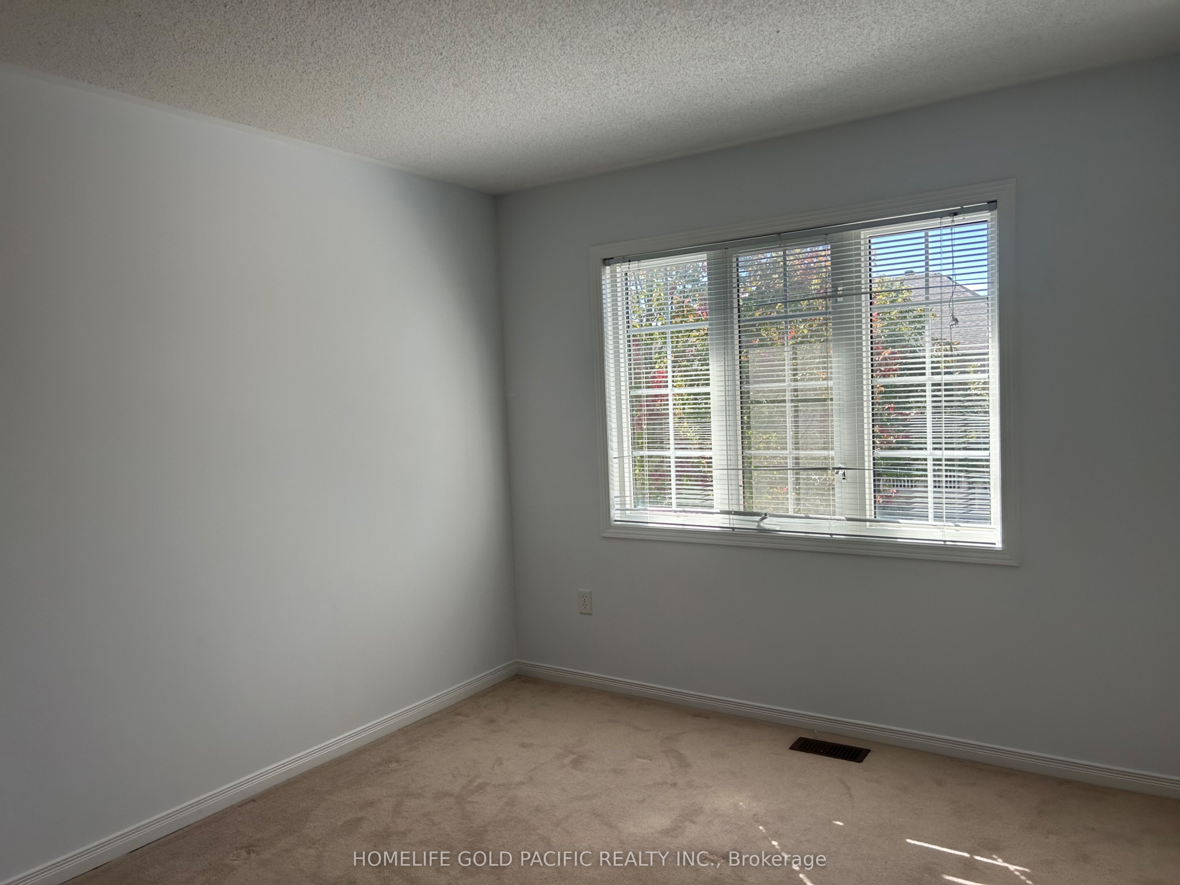 219 Hammersly Boulevard Property Photo 19