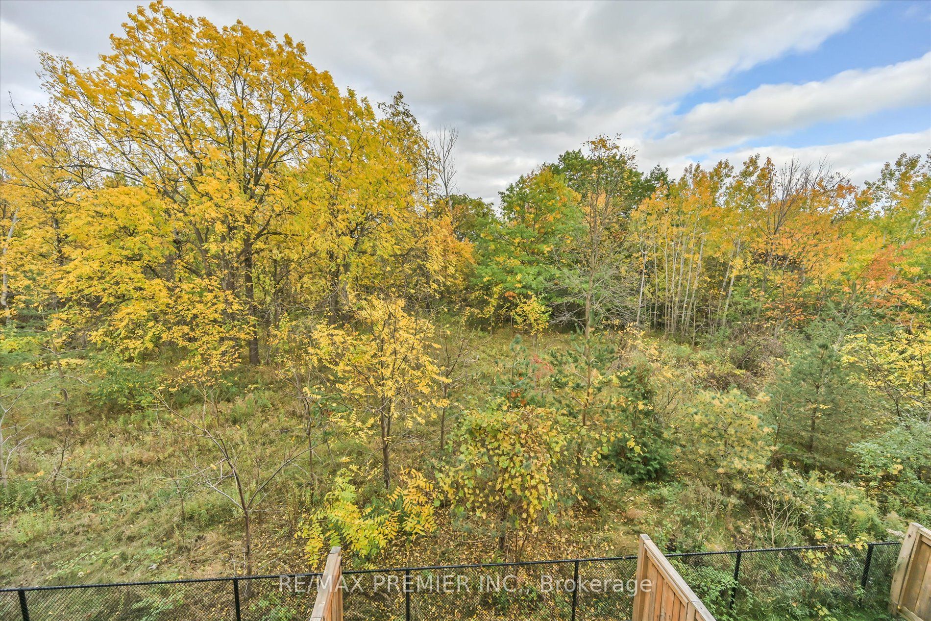 86 Golden Trail Property Photo 2