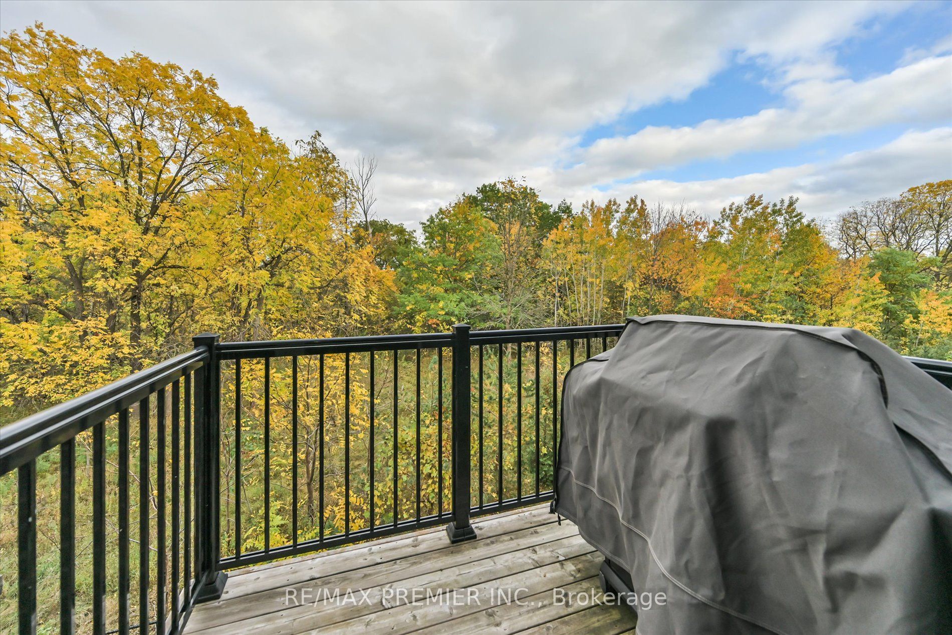 86 Golden Trail Property Photo 8