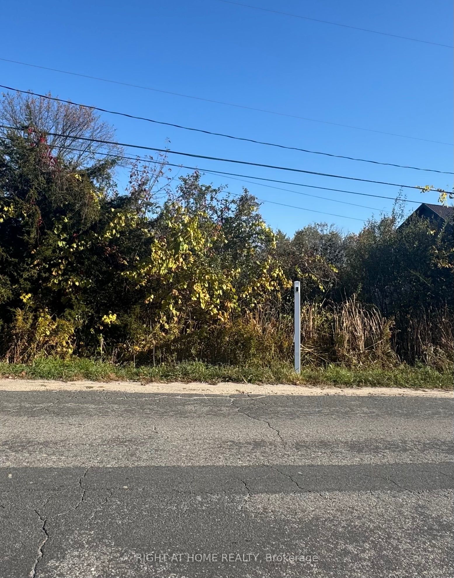 1167 Arnold Street Property Photo 1