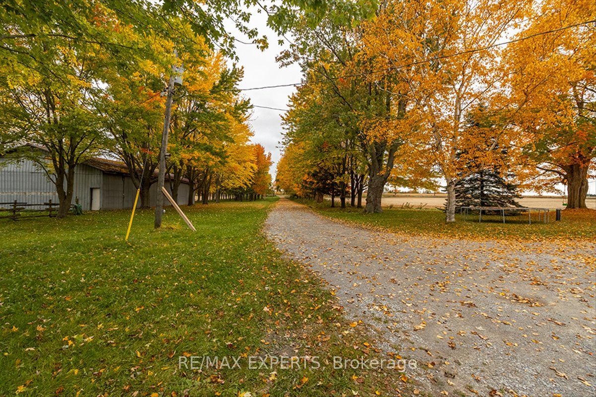 5329 15th Line Property Photo 7