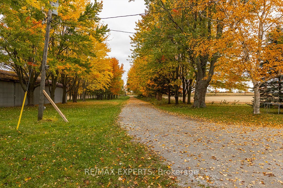 5329 15th Line Property Photo 10