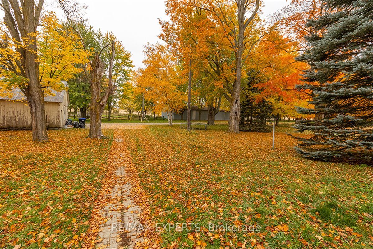 5329 15th Line Property Photo 11