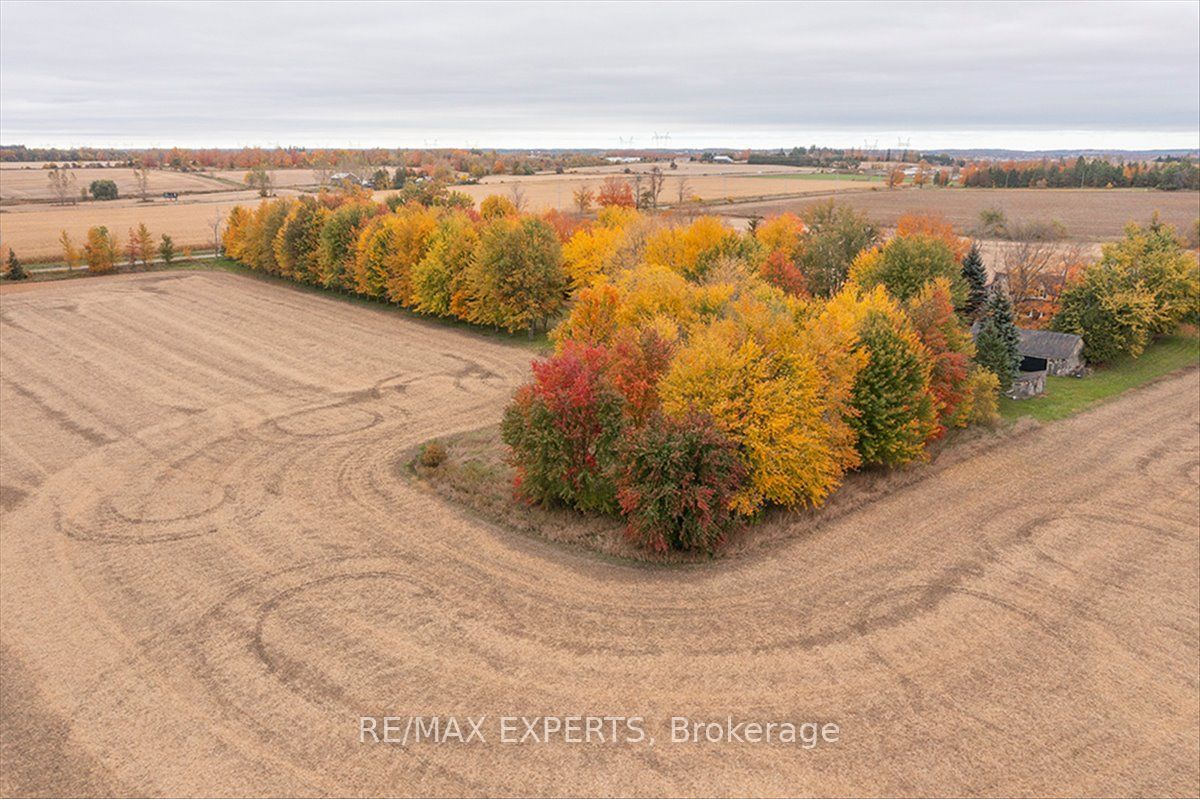 5329 15th Line Property Photo 45
