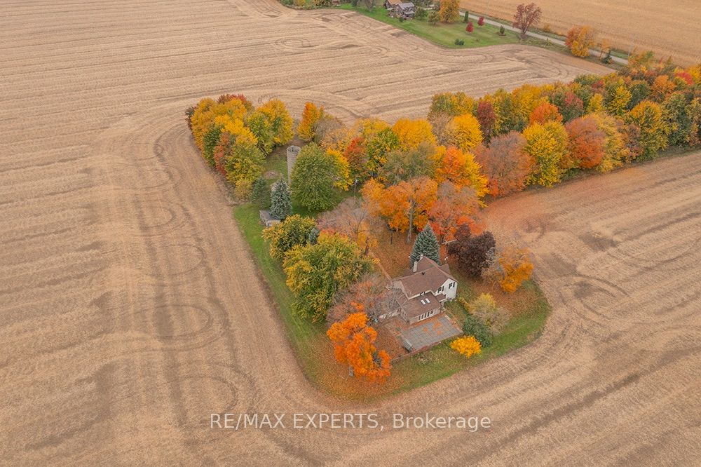 5329 15th Line Property Photo 46