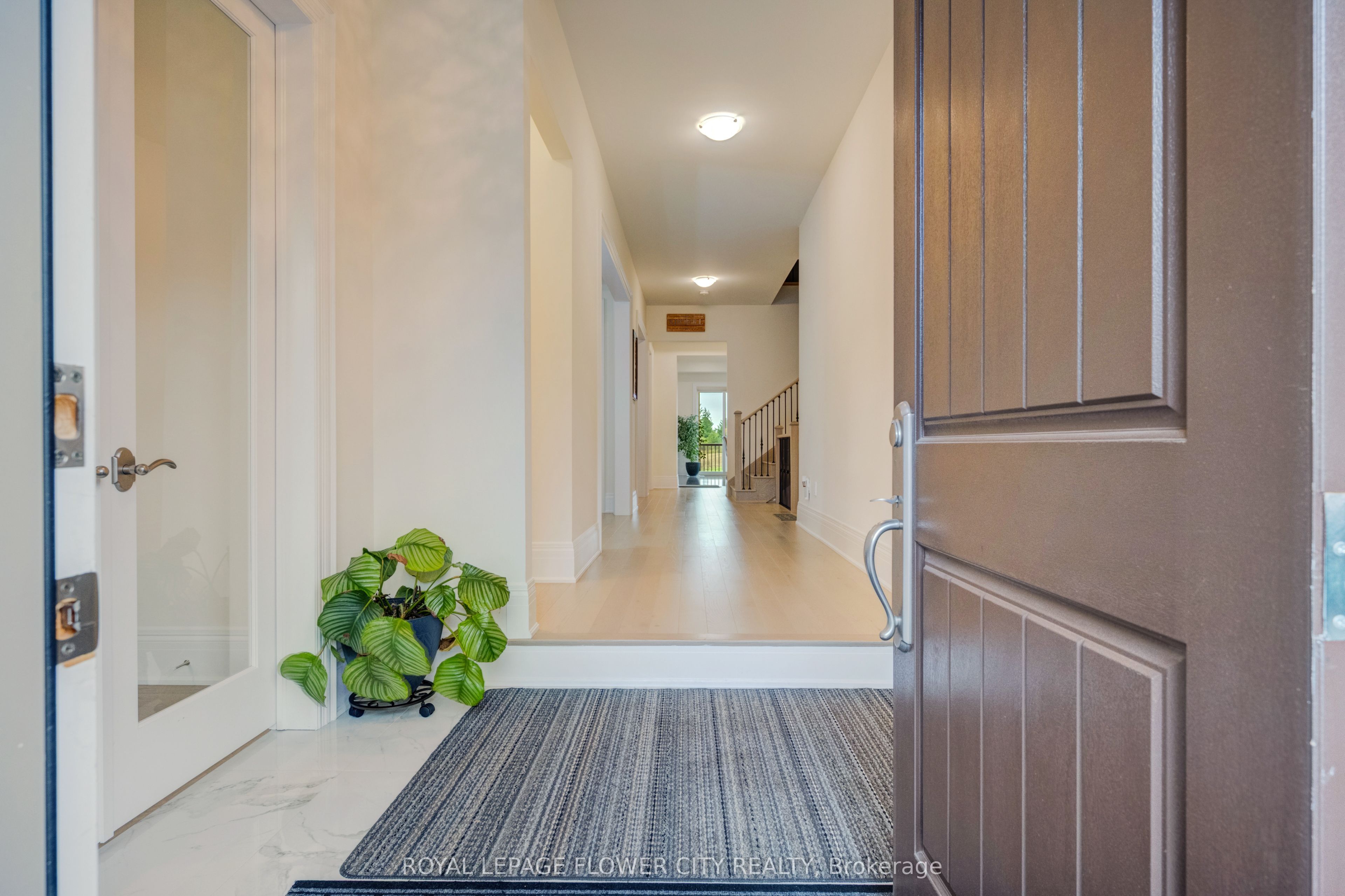 20 Seraville Street Property Photo 4