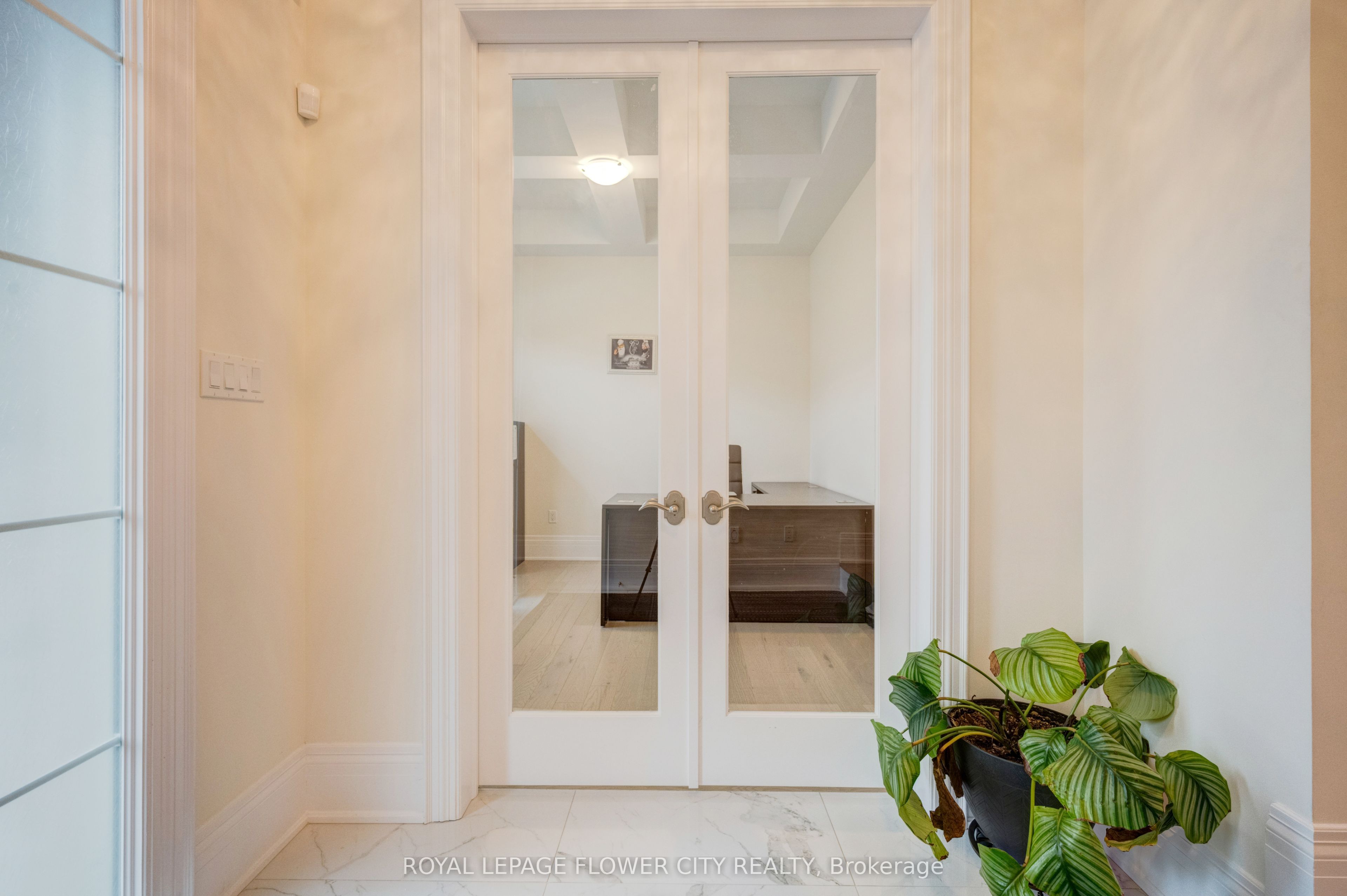 20 Seraville Street Property Photo 21