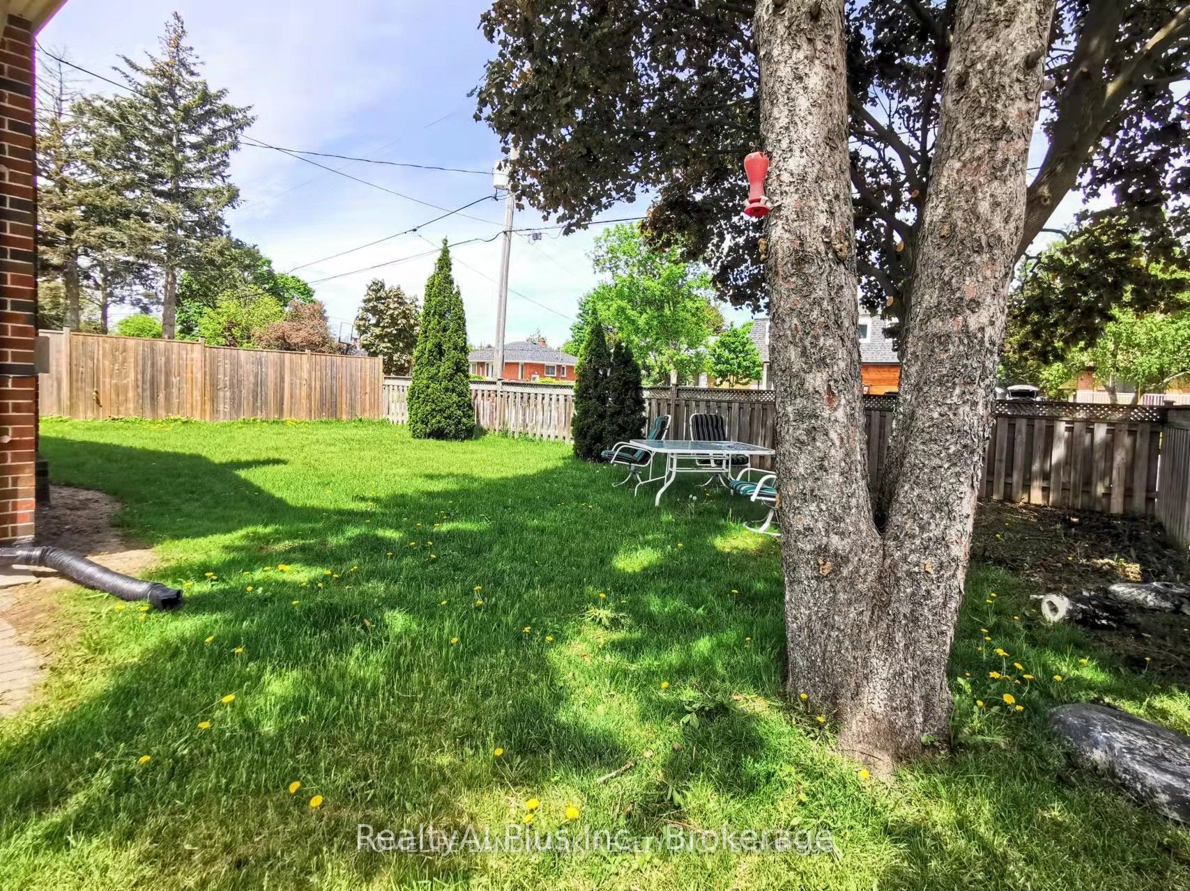 28 Benfer Road Main Property Photo 14