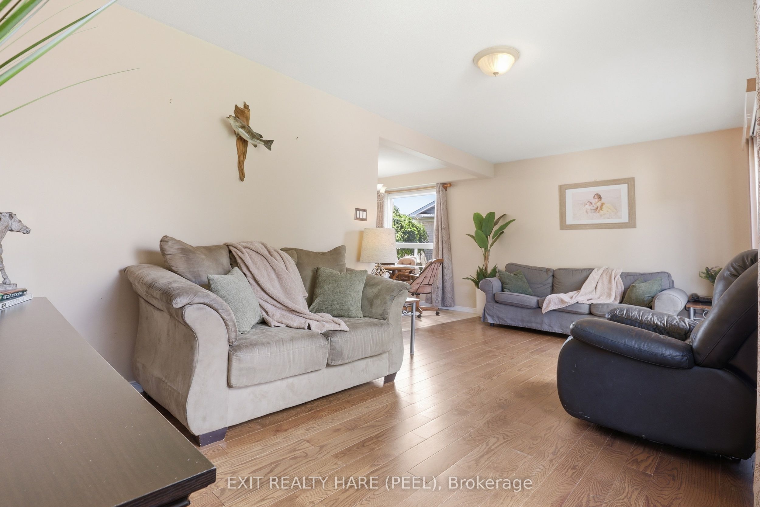 43 Stoneham Street Property Photo 6