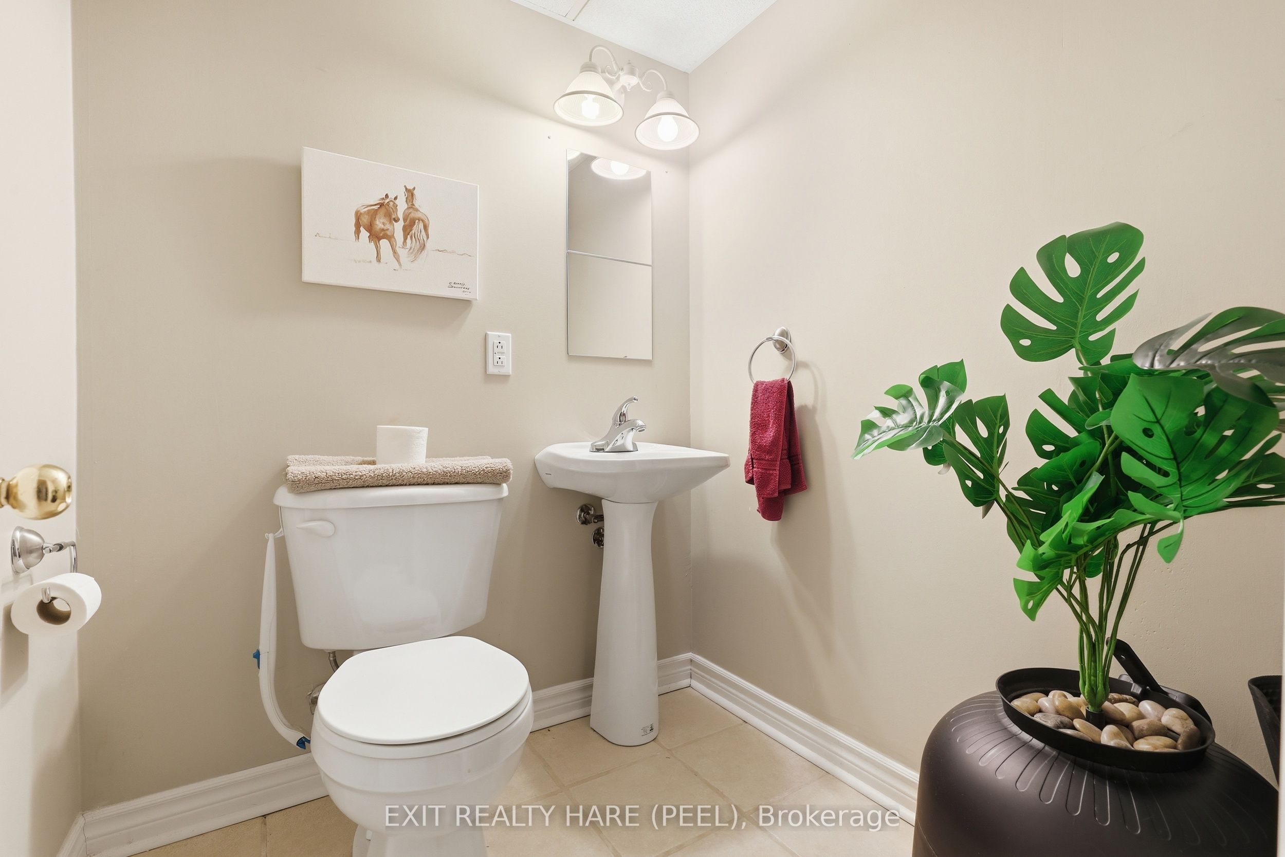 43 Stoneham Street Property Photo 30