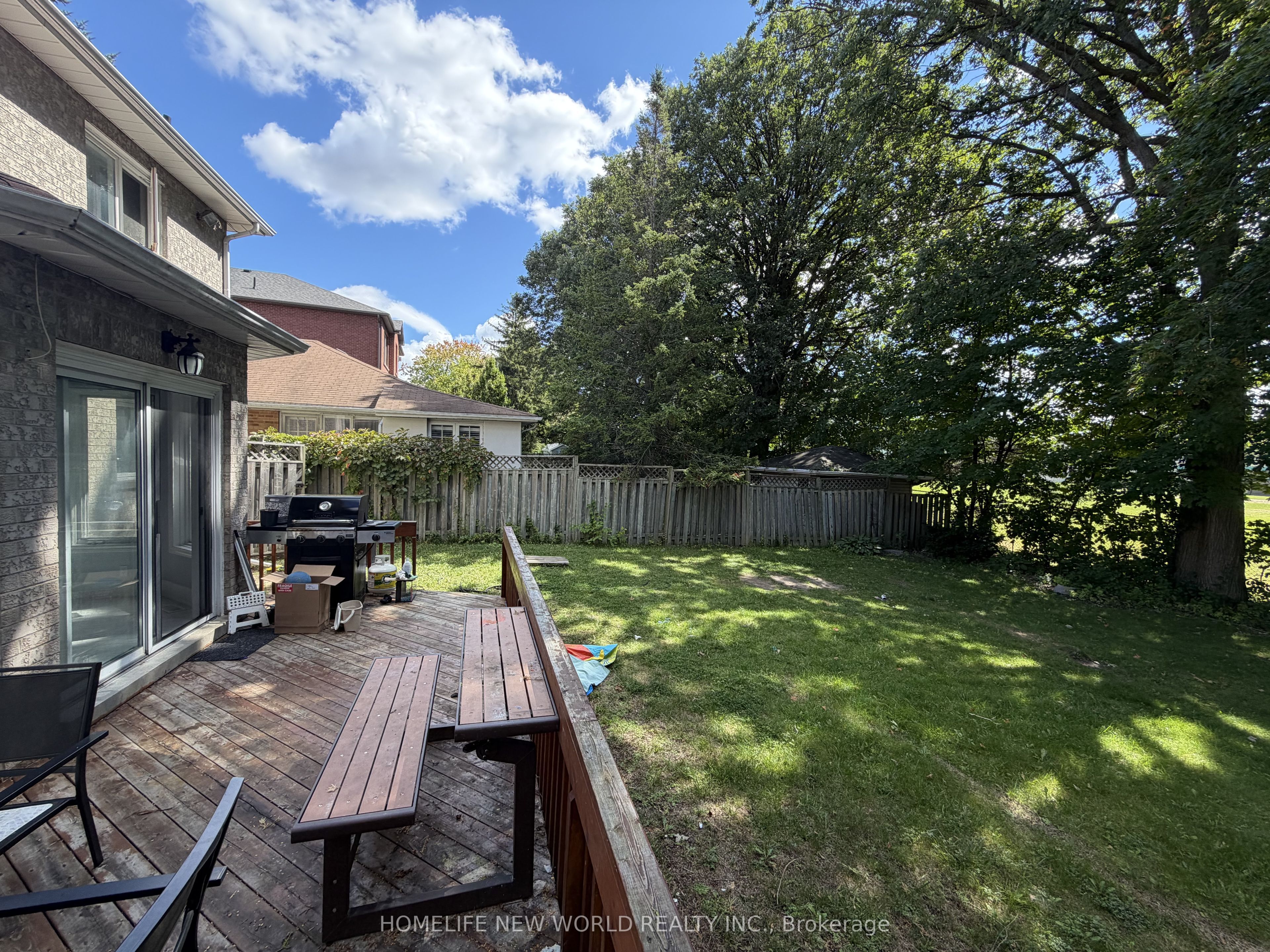 63a Roosevelt Drive (upper) Property Photo 19