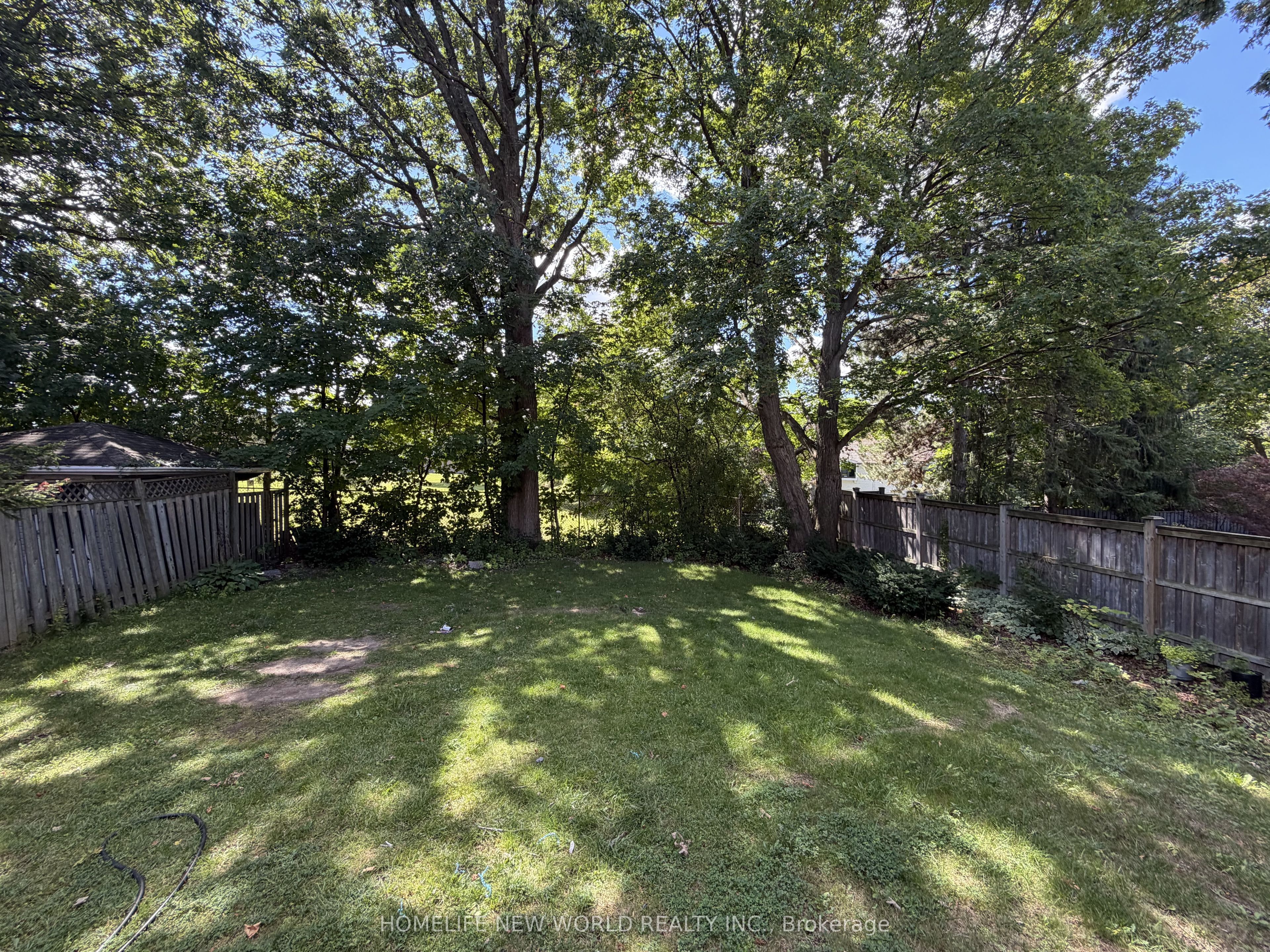 63a Roosevelt Drive (upper) Property Photo 21