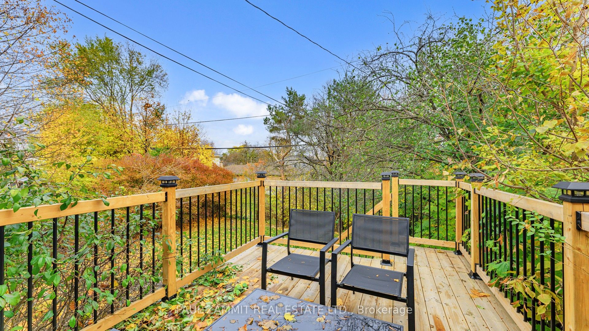31 Henderson Avenue Property Photo 42