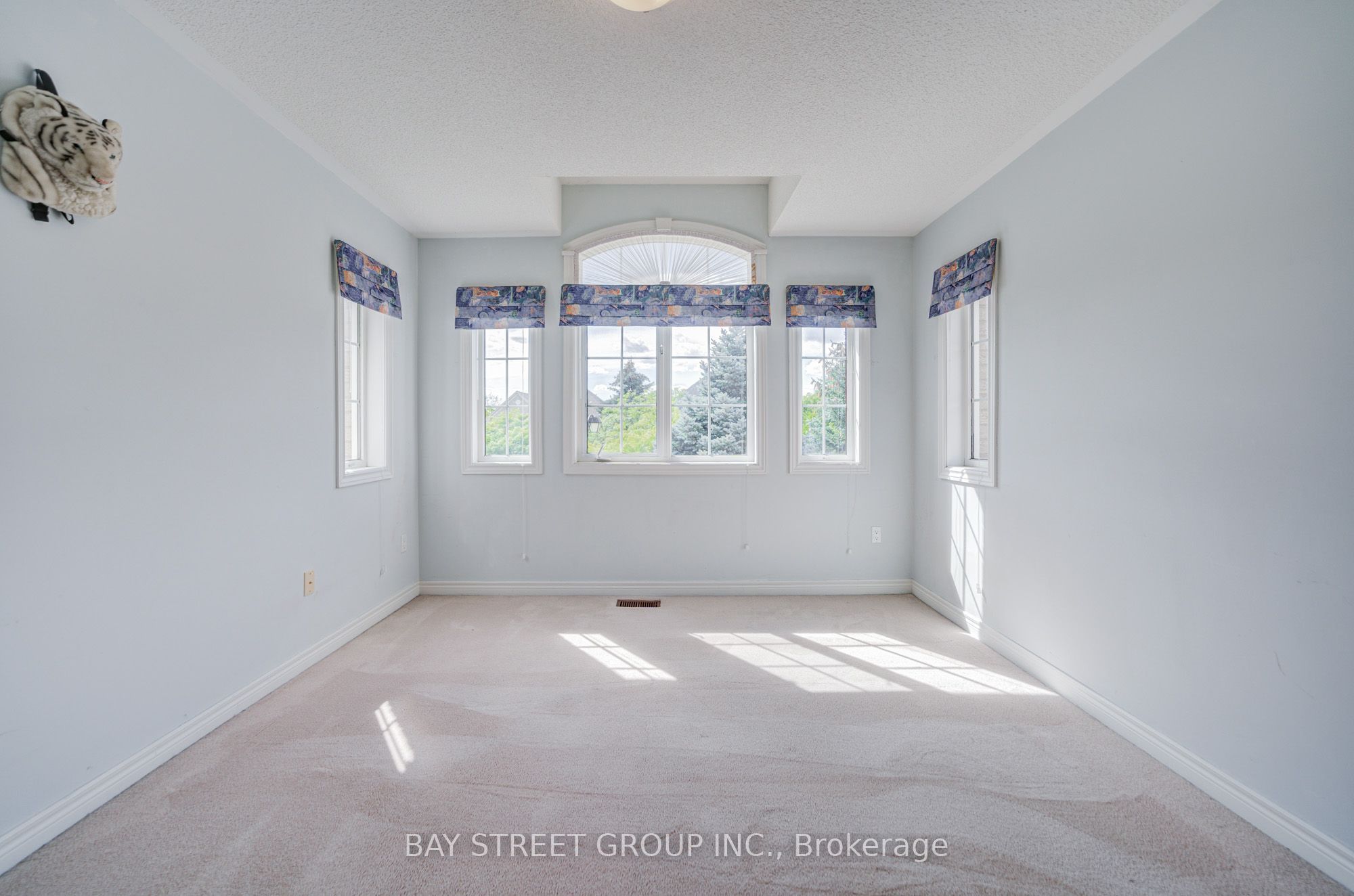 13 Pembrooke Road Property Photo 41